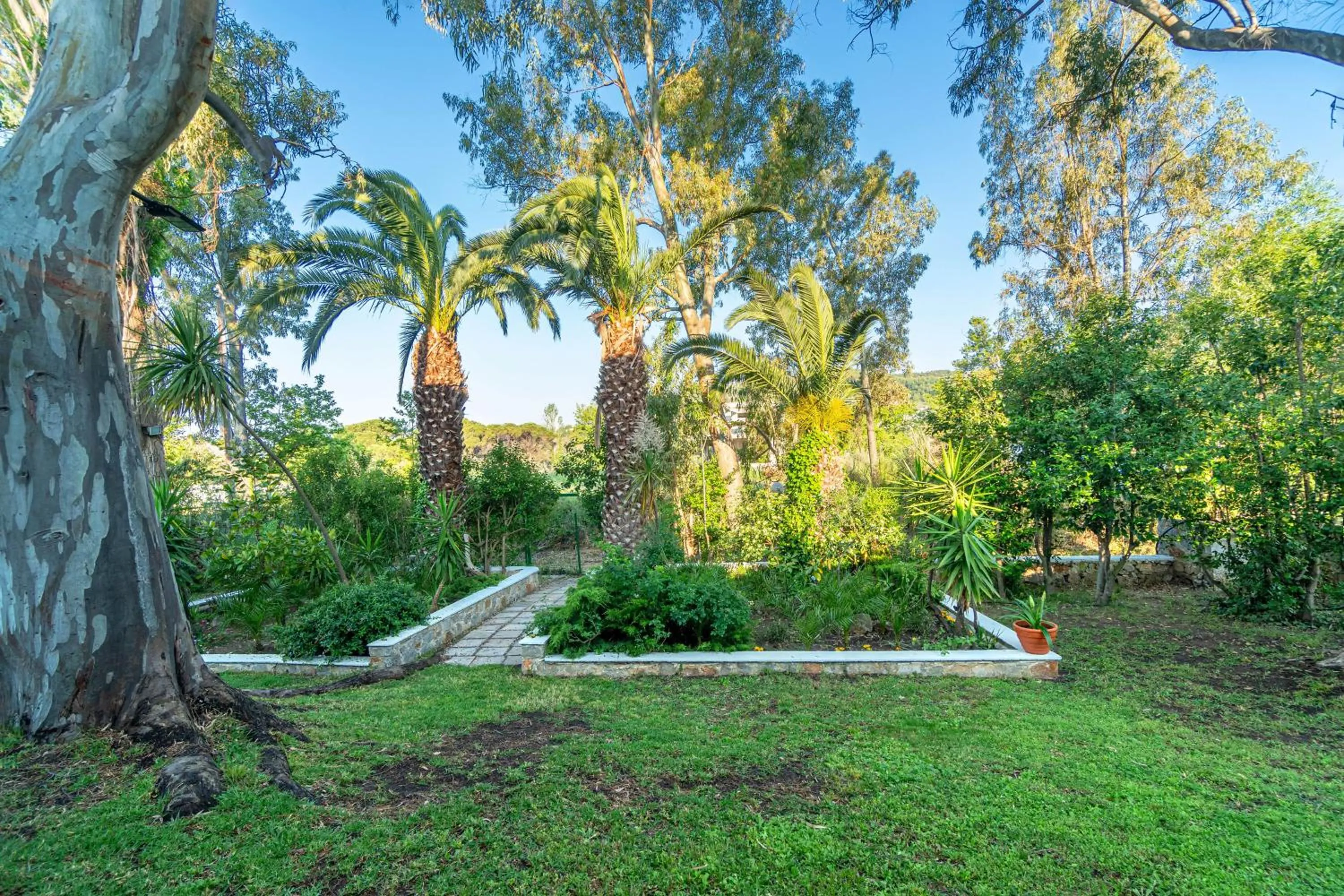 Natural landscape in Arco Beach Hotel