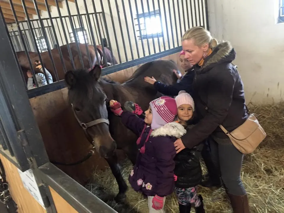Horse-riding in Caballus Lovasmajor Panzió