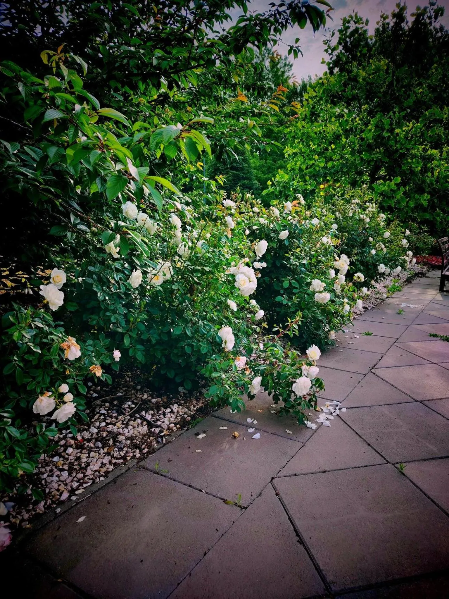 Caballus Lovasmajor Panzió