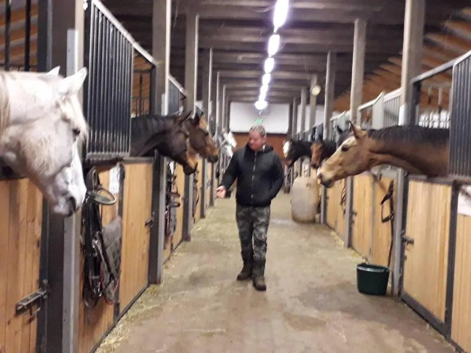 Horse-riding in Caballus Lovasmajor Panzió