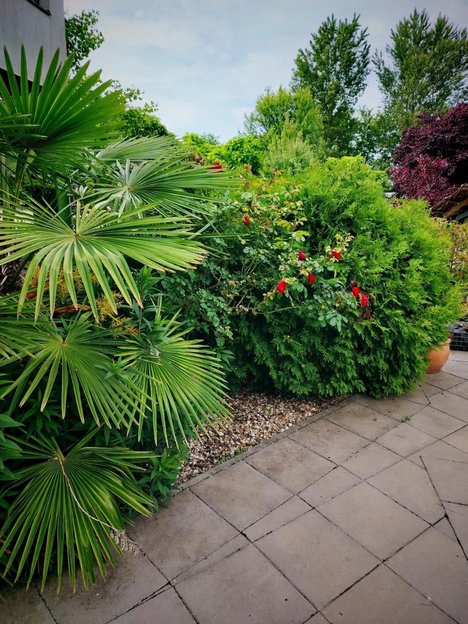 Caballus Lovasmajor Panzió