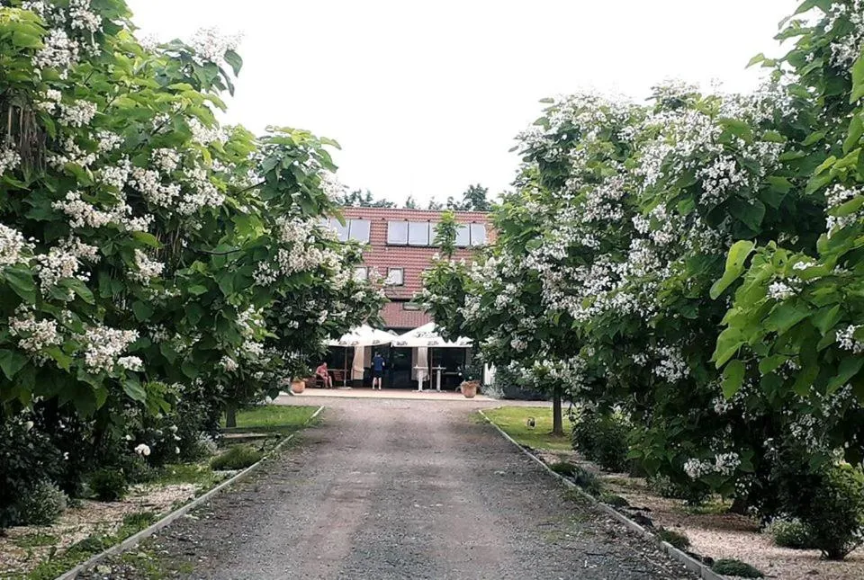 Caballus Lovasmajor Panzió