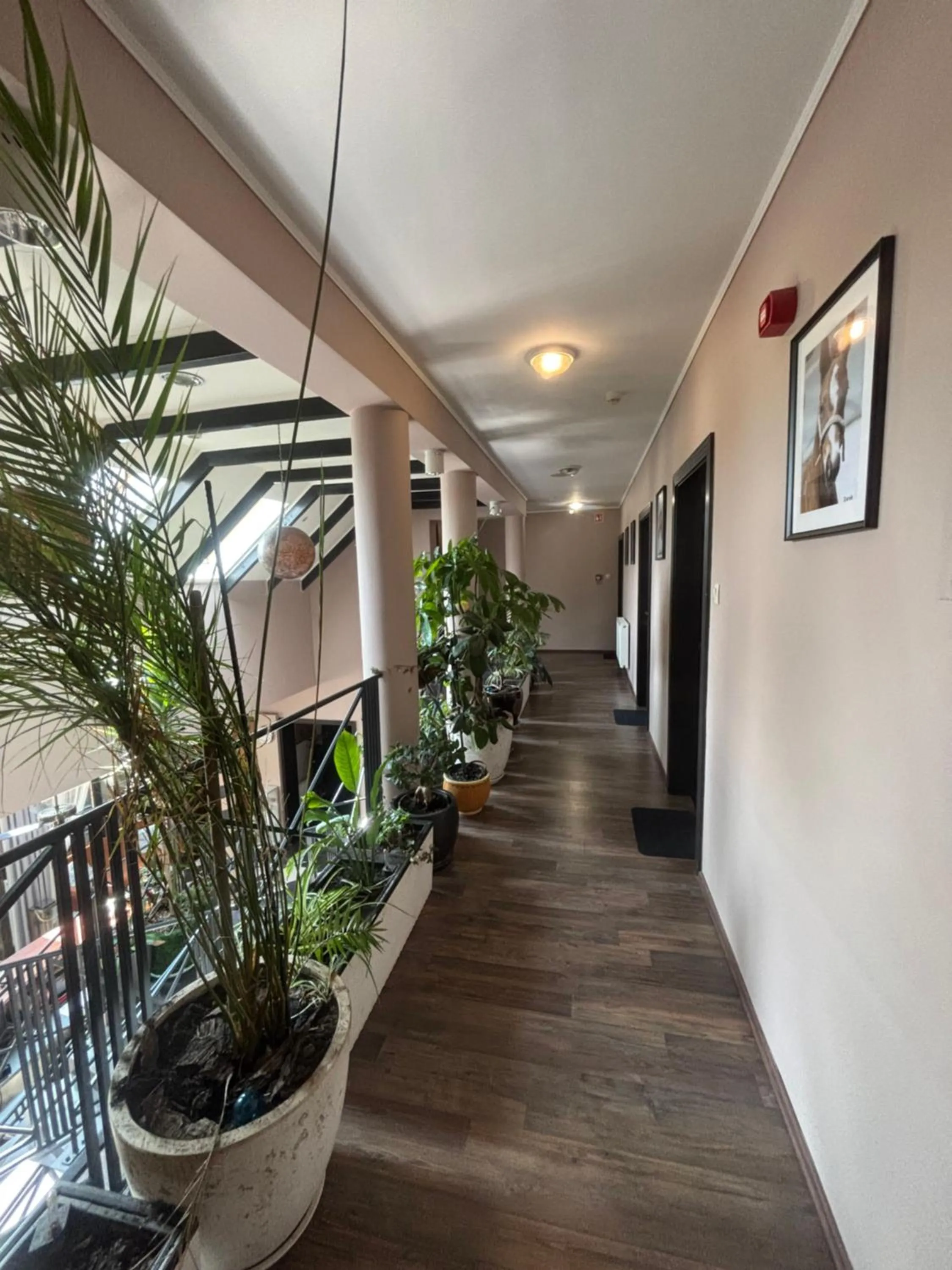 Caballus Lovasmajor Panzió