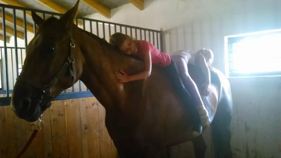 Horse-riding in Caballus Lovasmajor Panzió