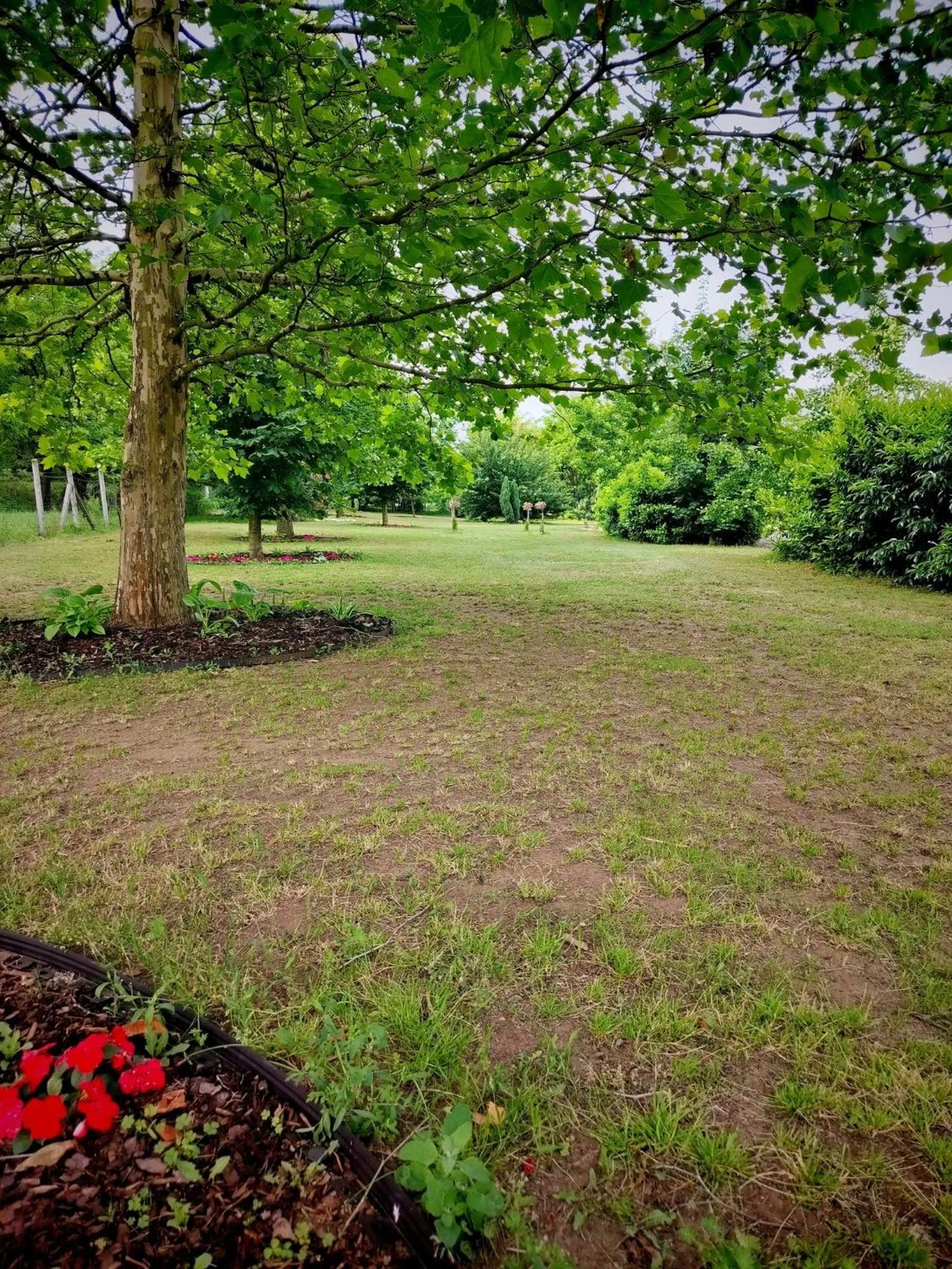 Caballus Lovasmajor Panzió