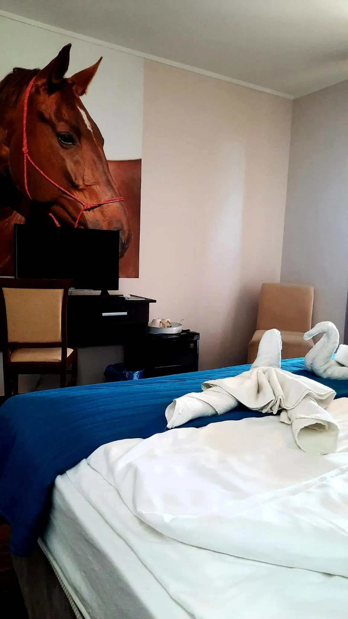 Twin Room with Balcony - single occupancy in Caballus Lovasmajor Panzió