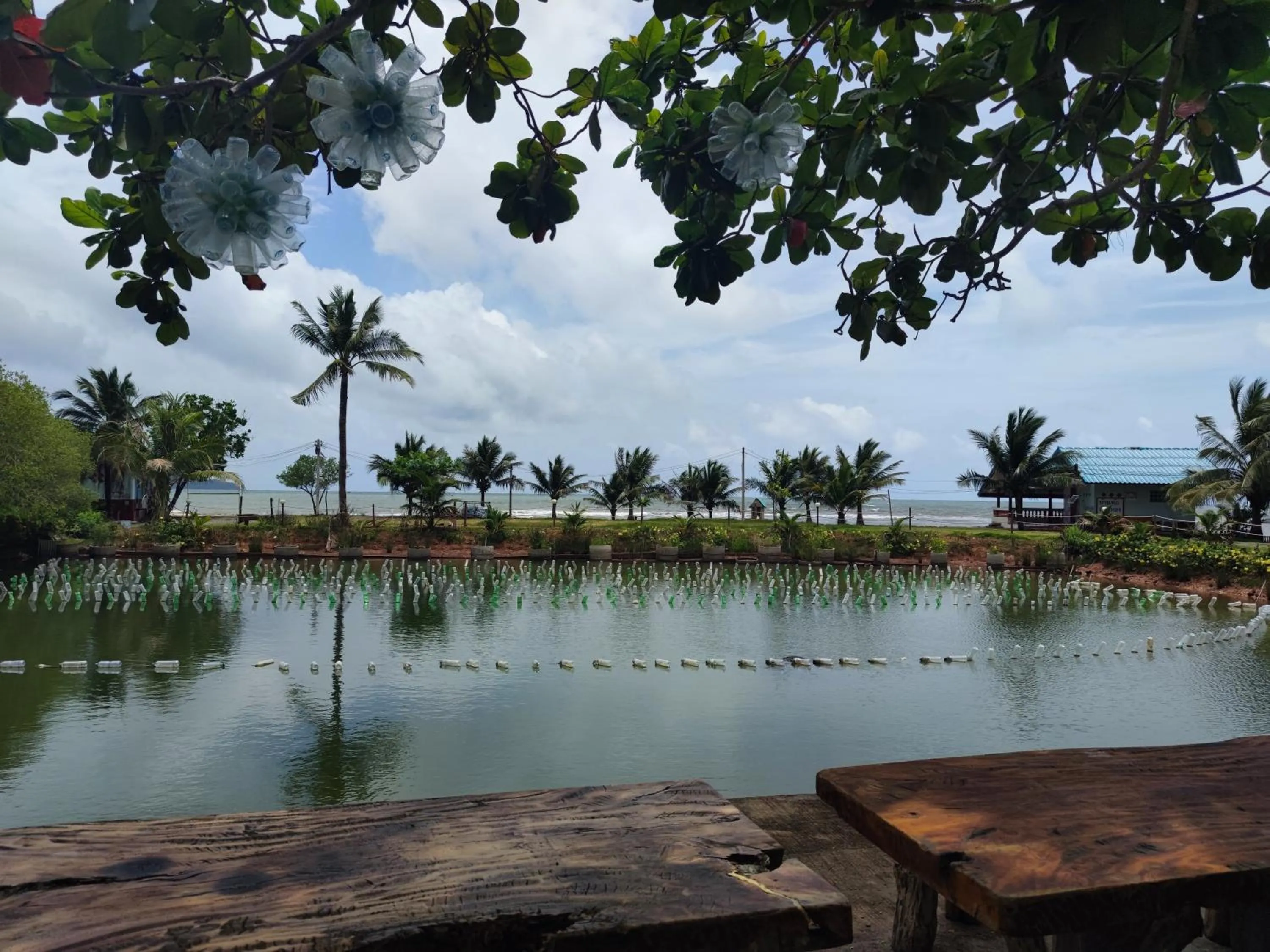 Natural landscape in Chattong resort