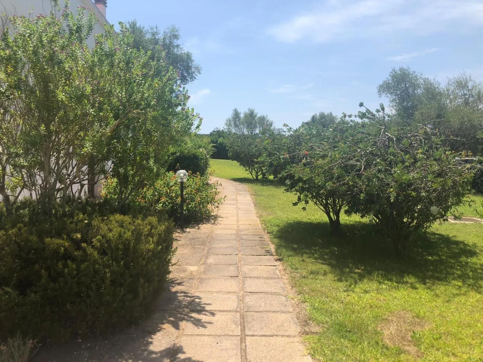Garden in White Sand Residence