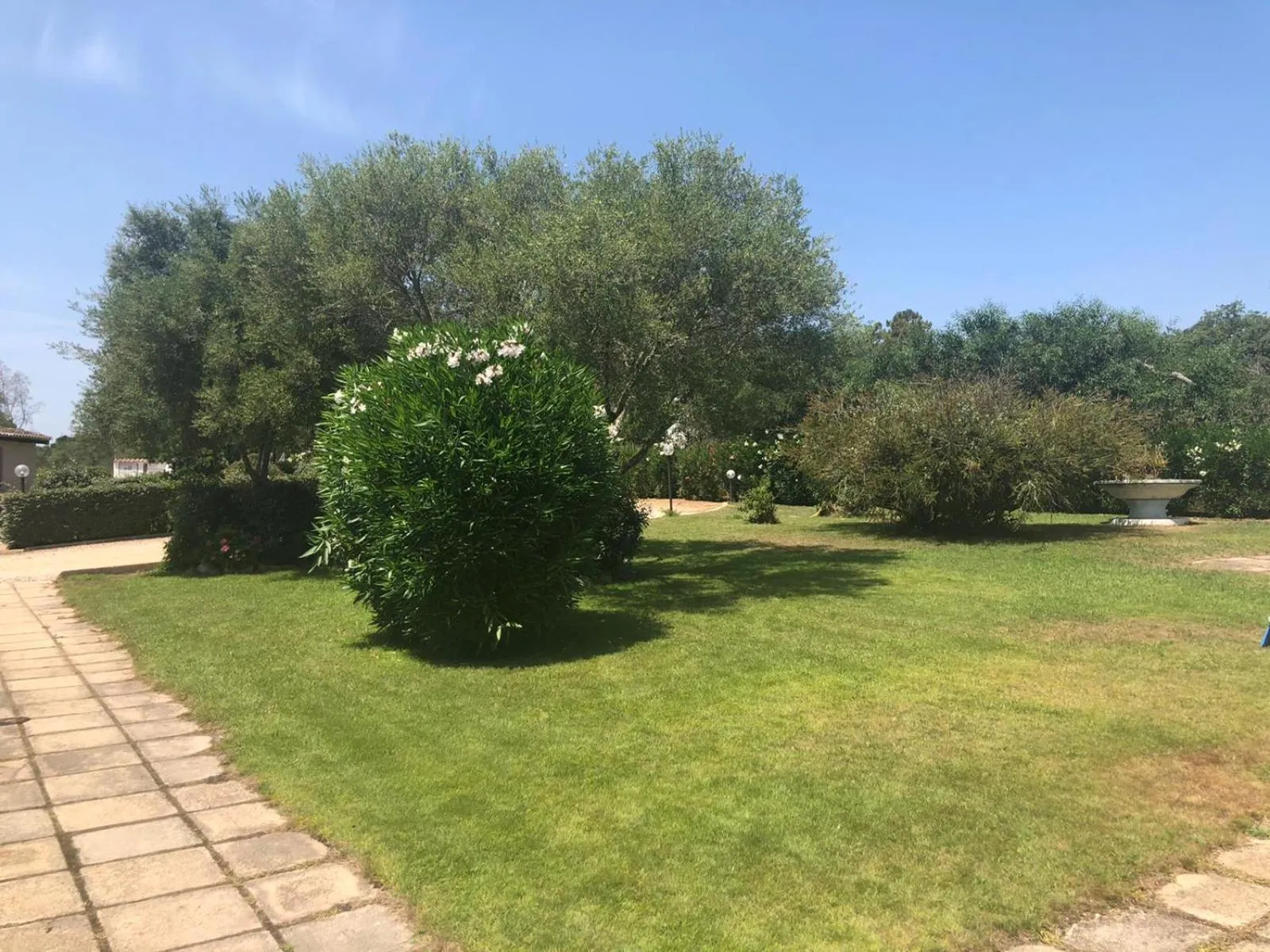 Garden in White Sand Residence
