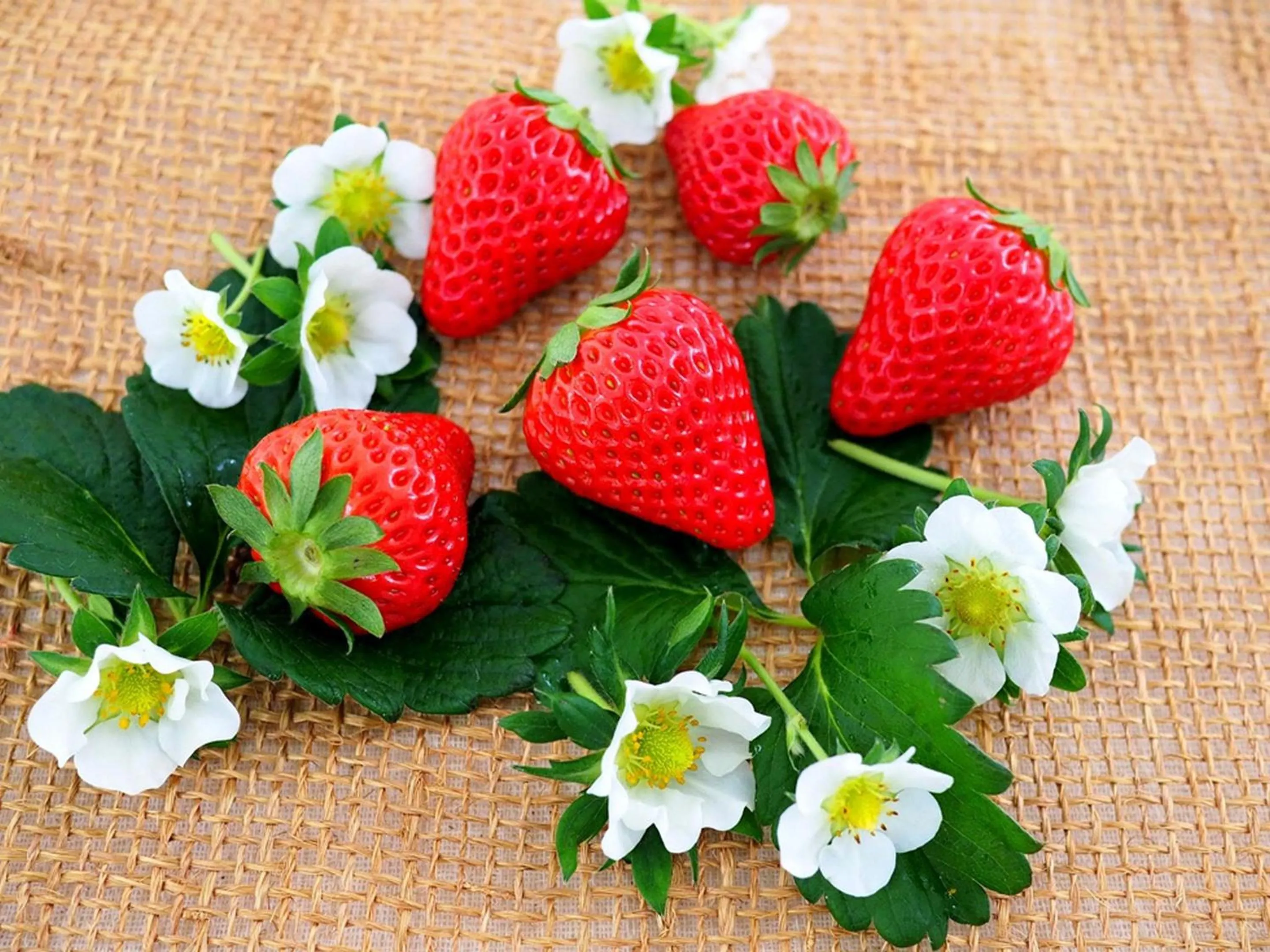 Activities in Le Grand Karuizawa Hotel and Resort