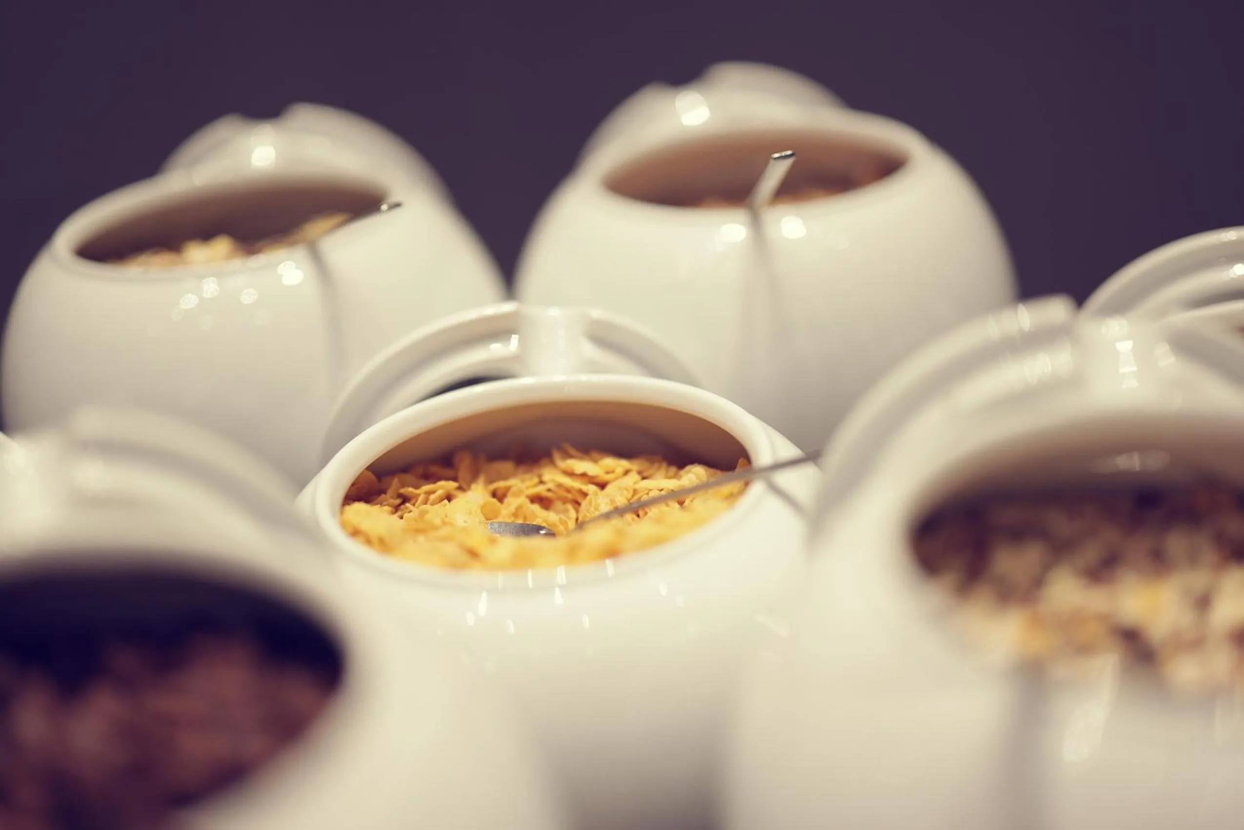 Restaurant/places to eat in roomz hotel & conference center vienna prater