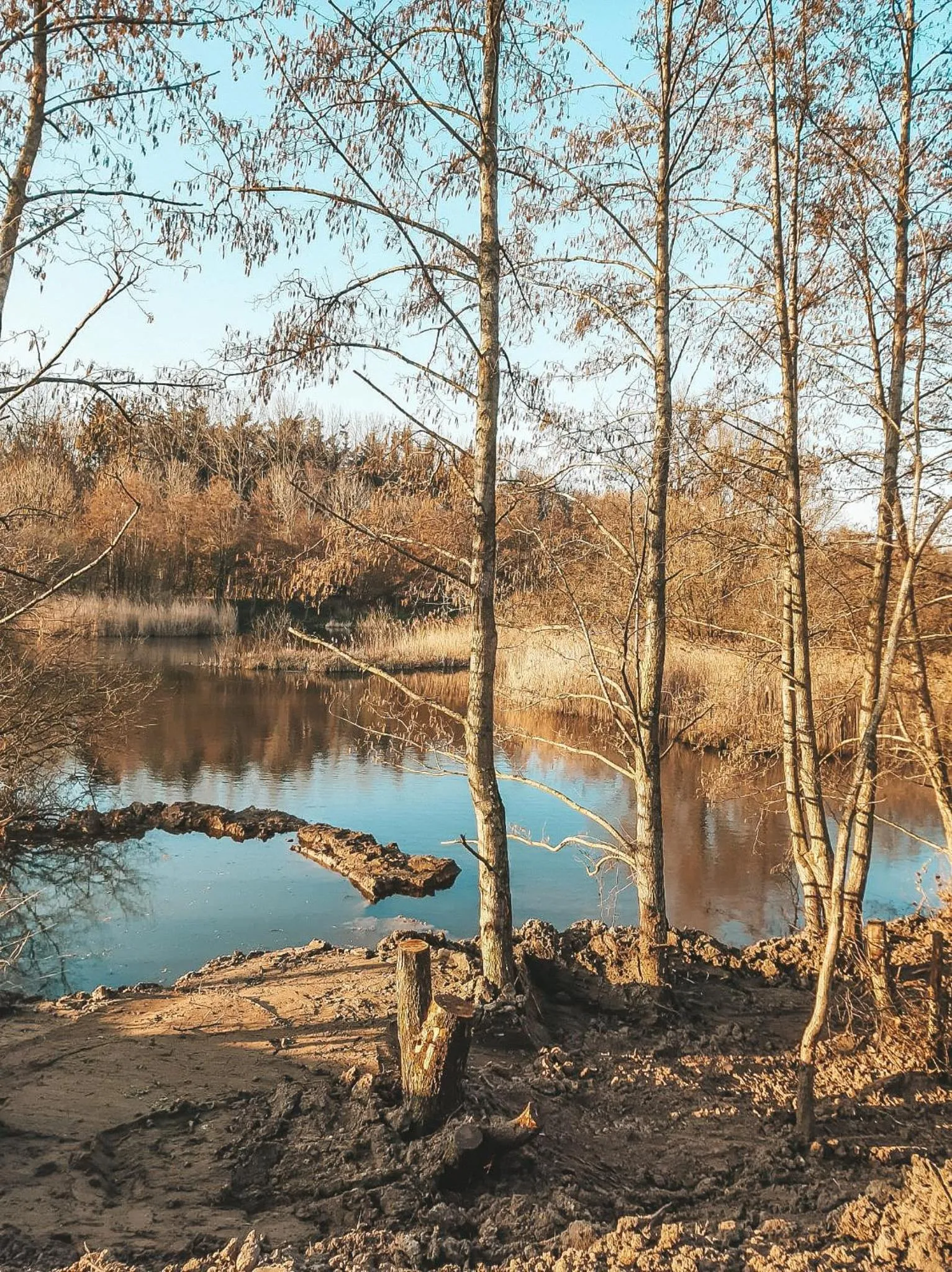 Natural landscape in Hoeve Westdijk