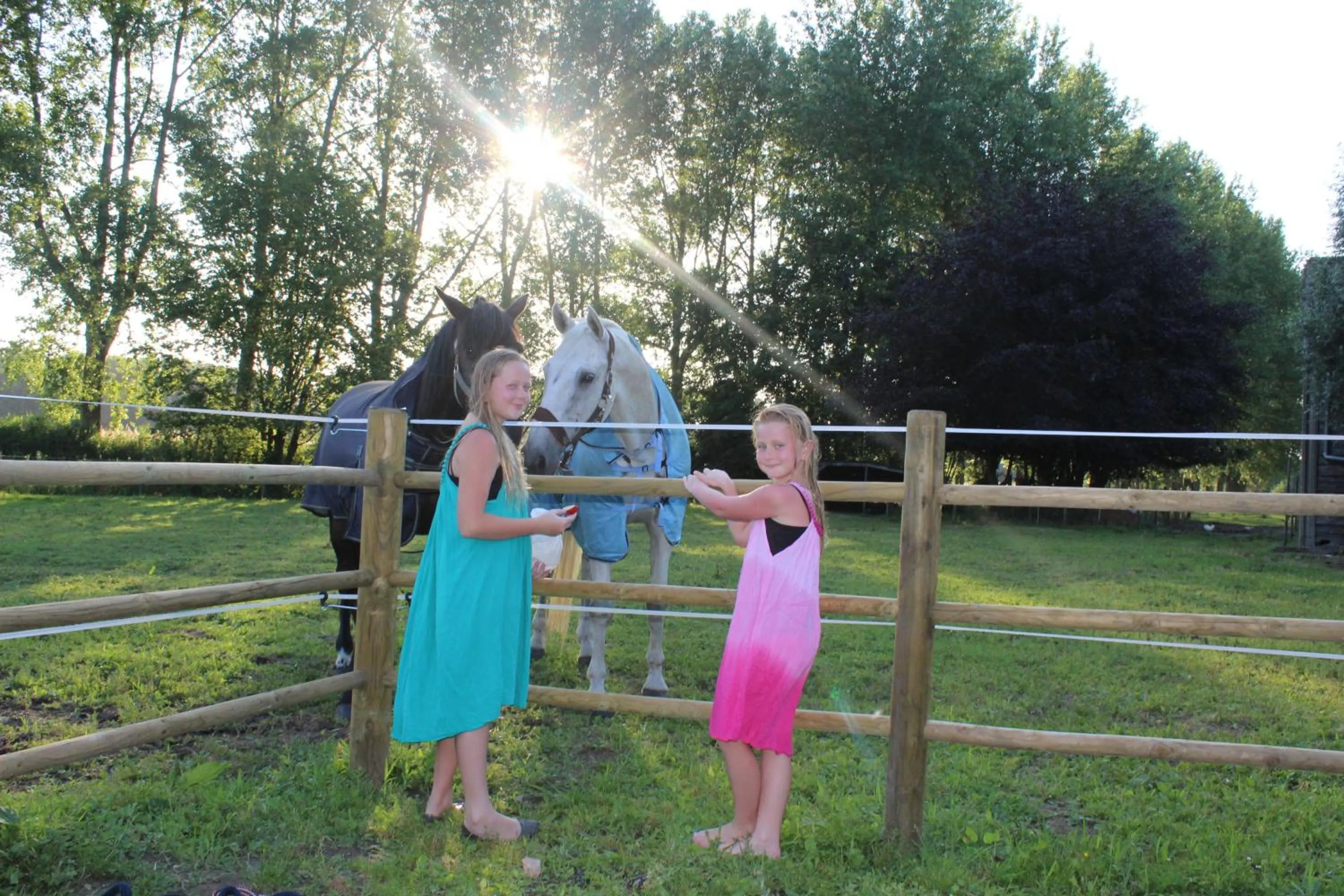 People in Hoeve Westdijk
