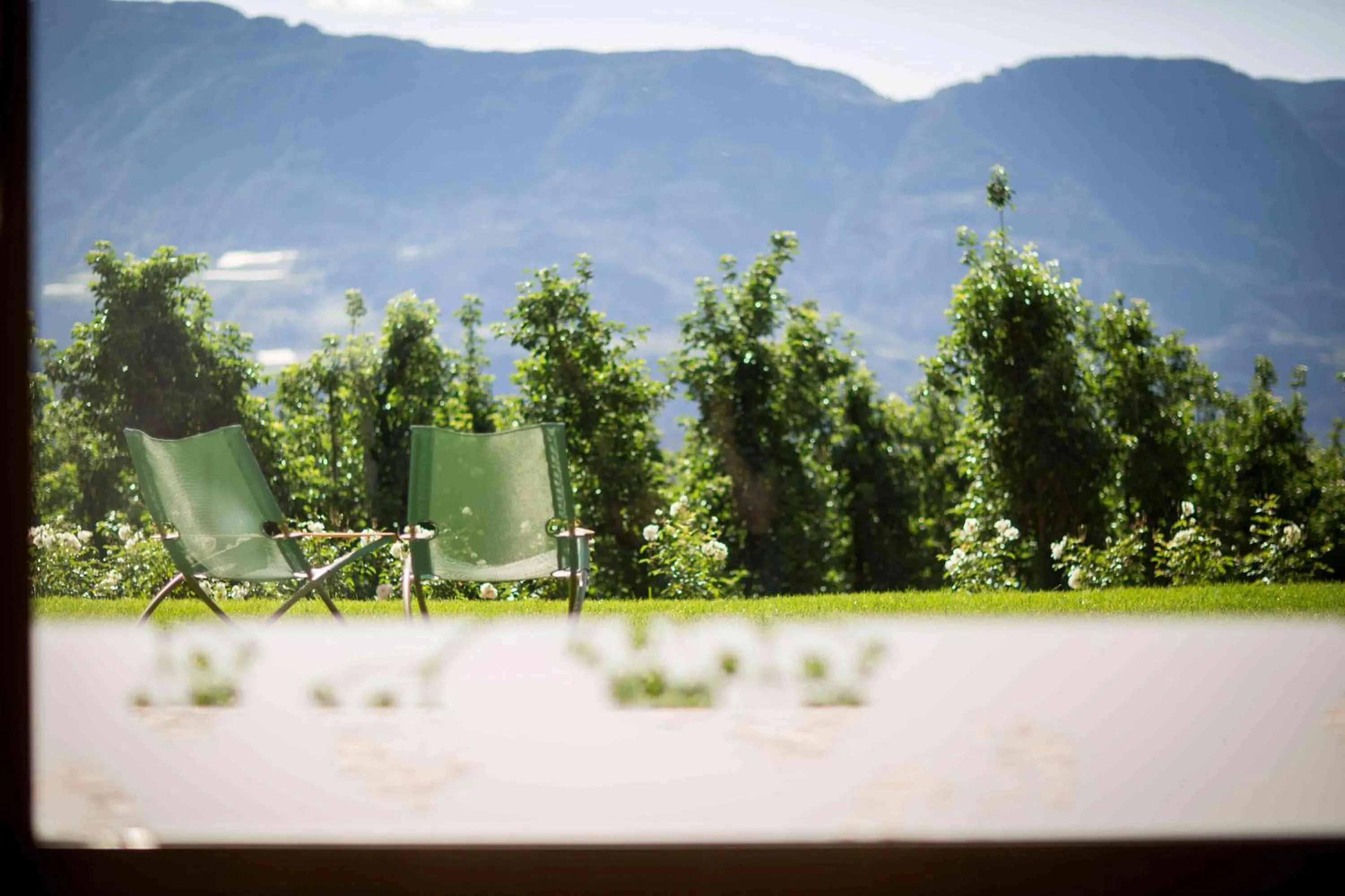 Garden in Pension An Der Linde