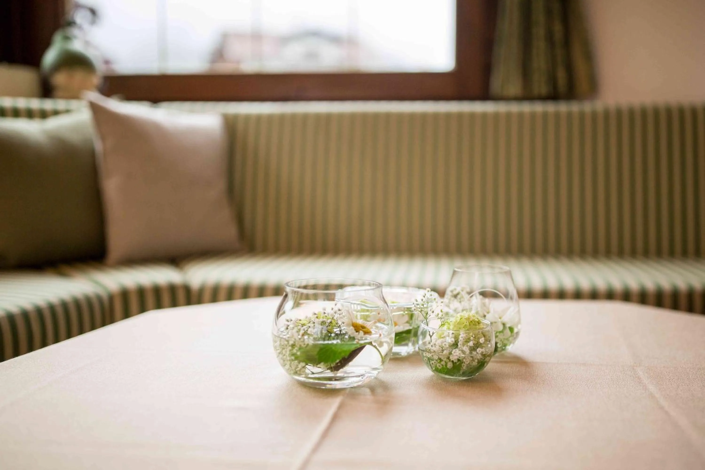 Photo of the whole room in Pension An Der Linde