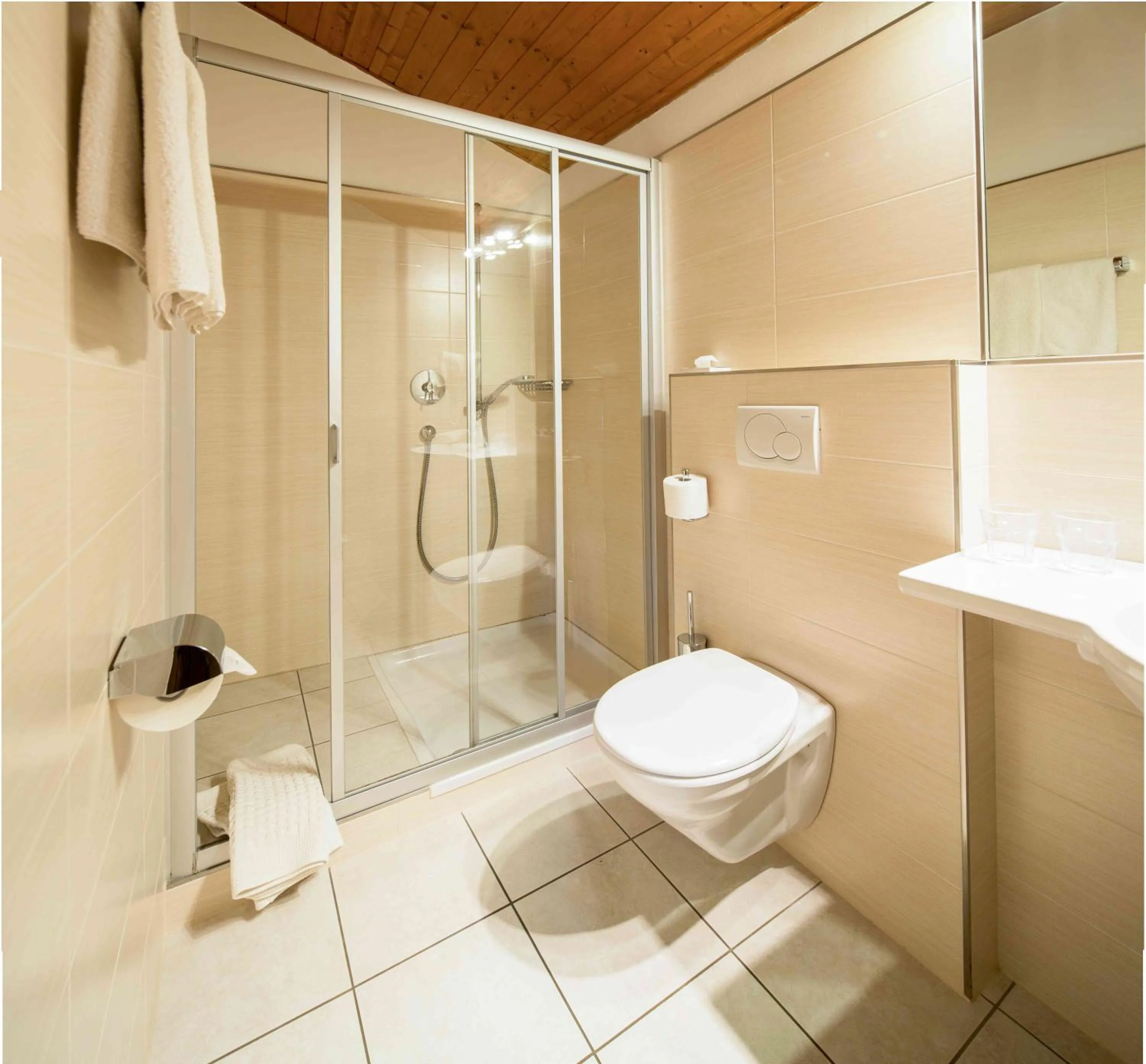 Toilet in Pension An Der Linde