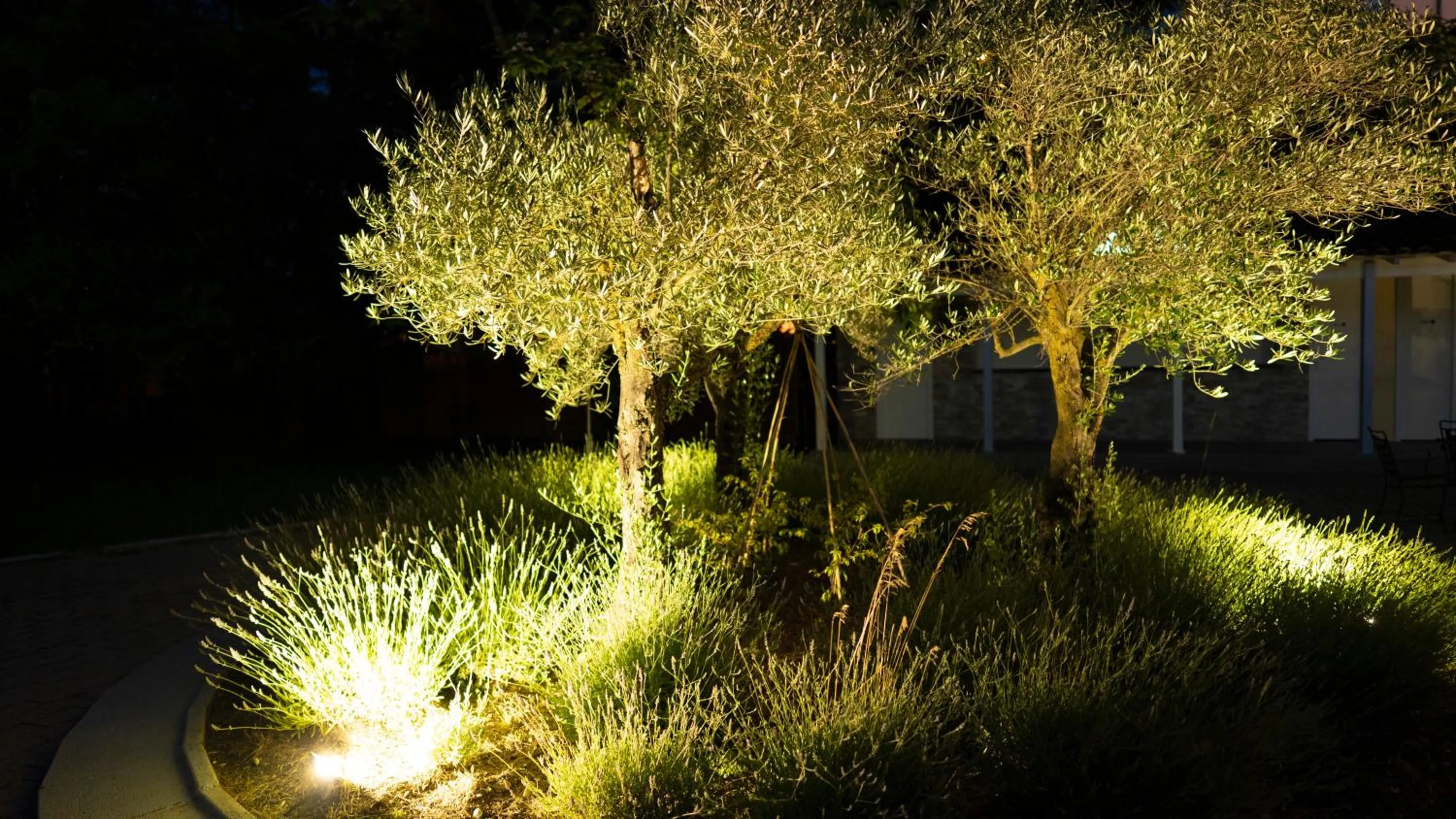 Night in Logis Hotel Restaurant SPA Les Oliviers