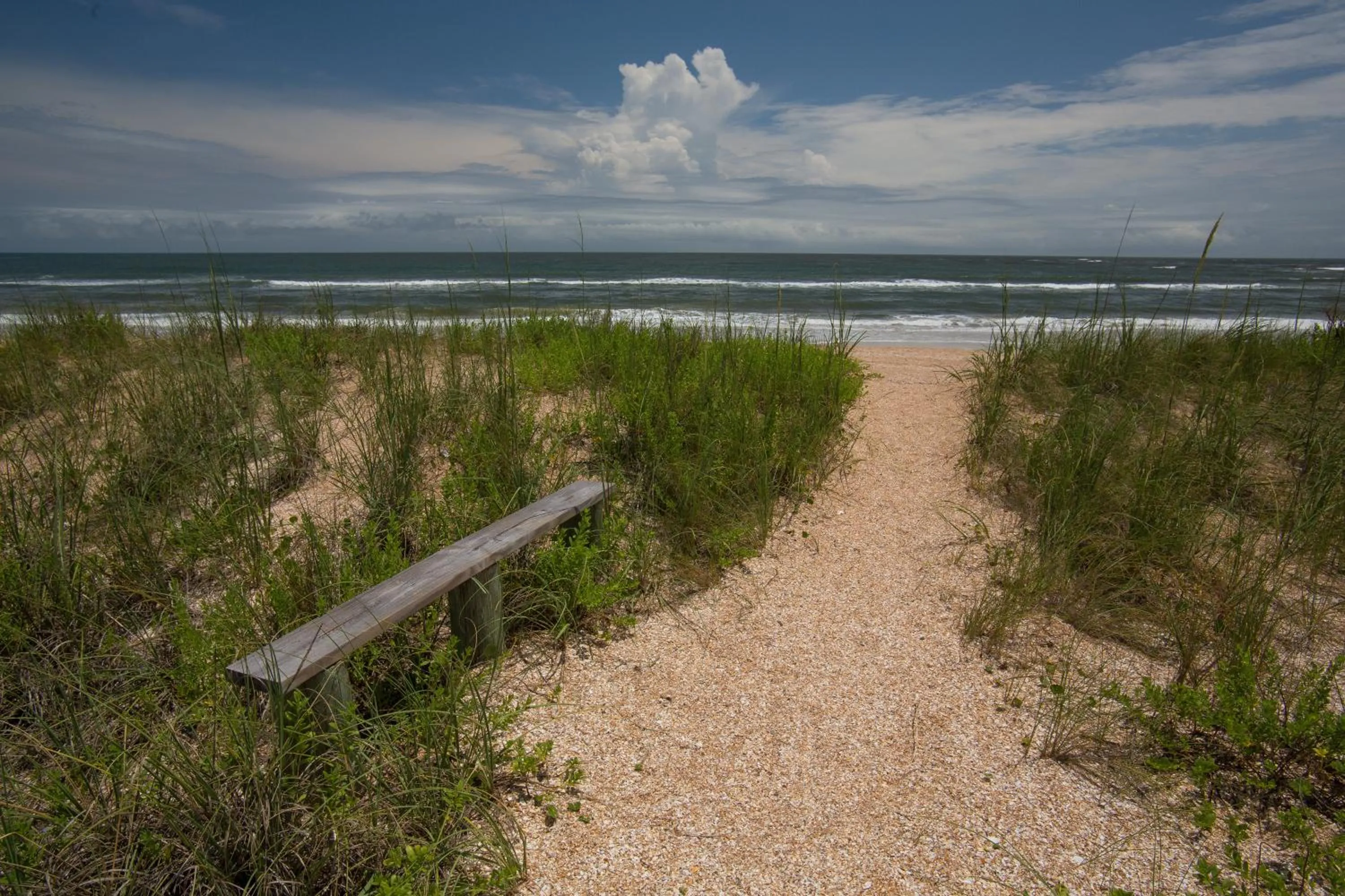 Bayfront Marin House