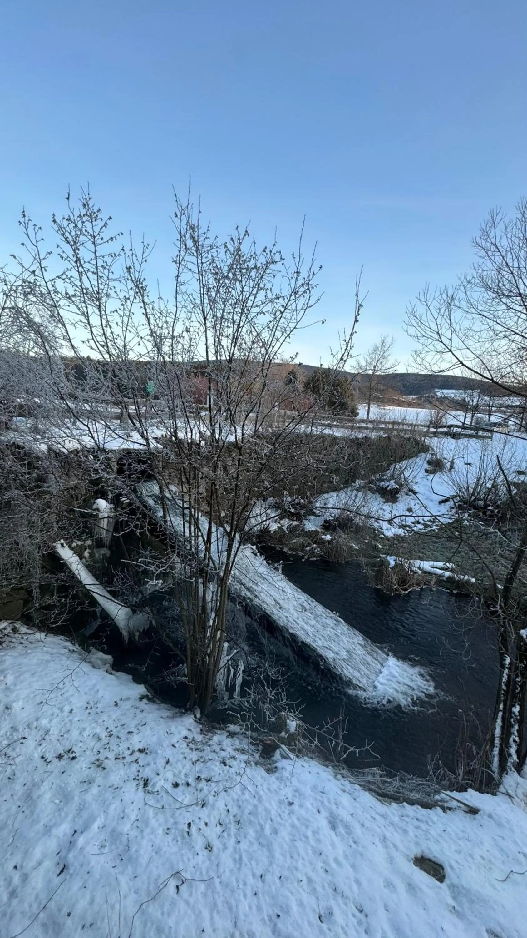 Day in Jerà am Furtnerteich Hotel-Ristorante&Relax