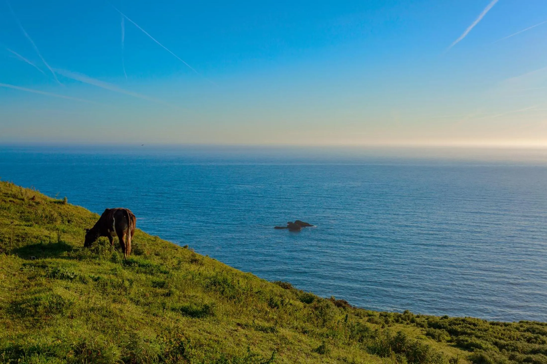 Natural landscape in La Colina