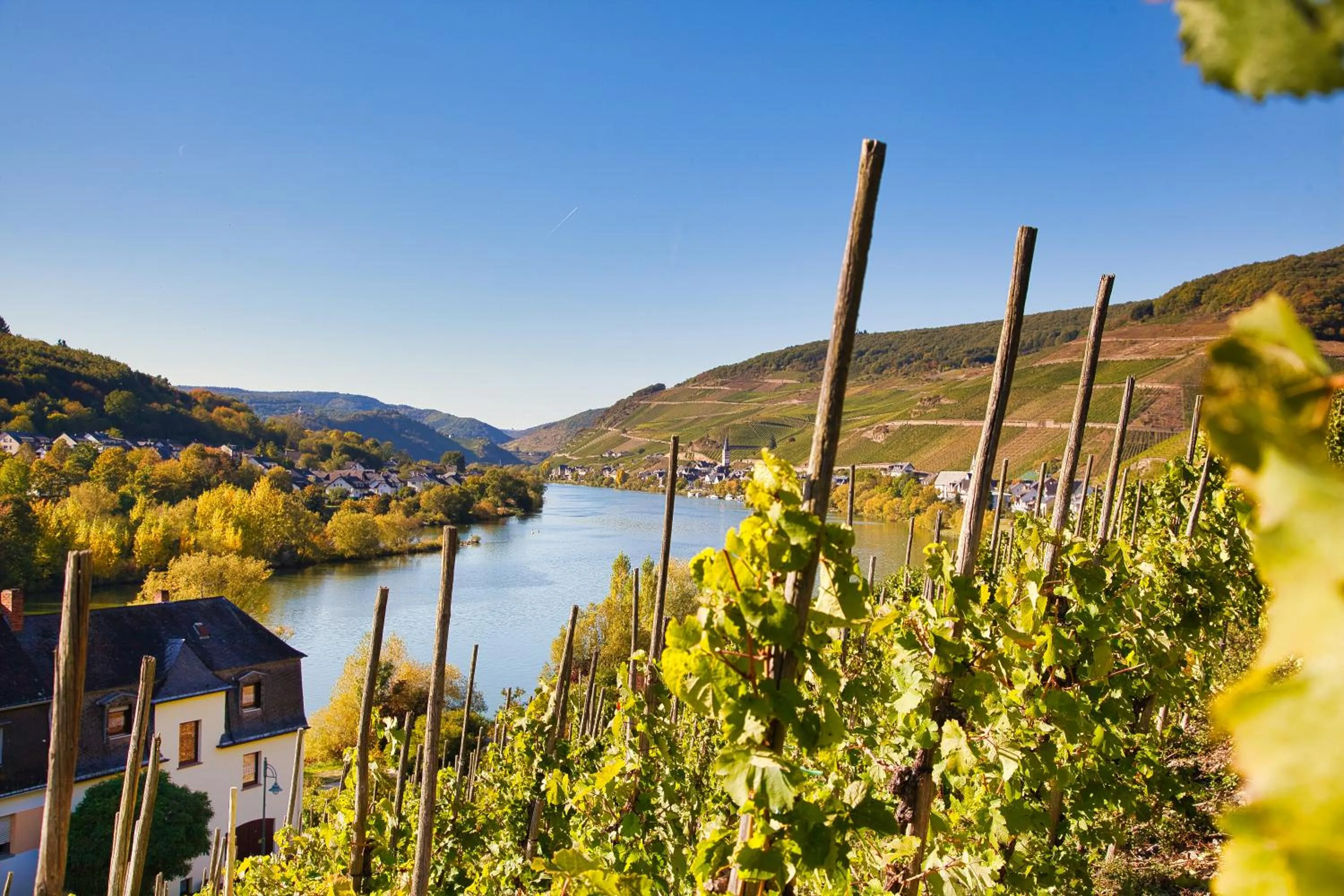 Natural landscape in Mayer's Weinhotel
