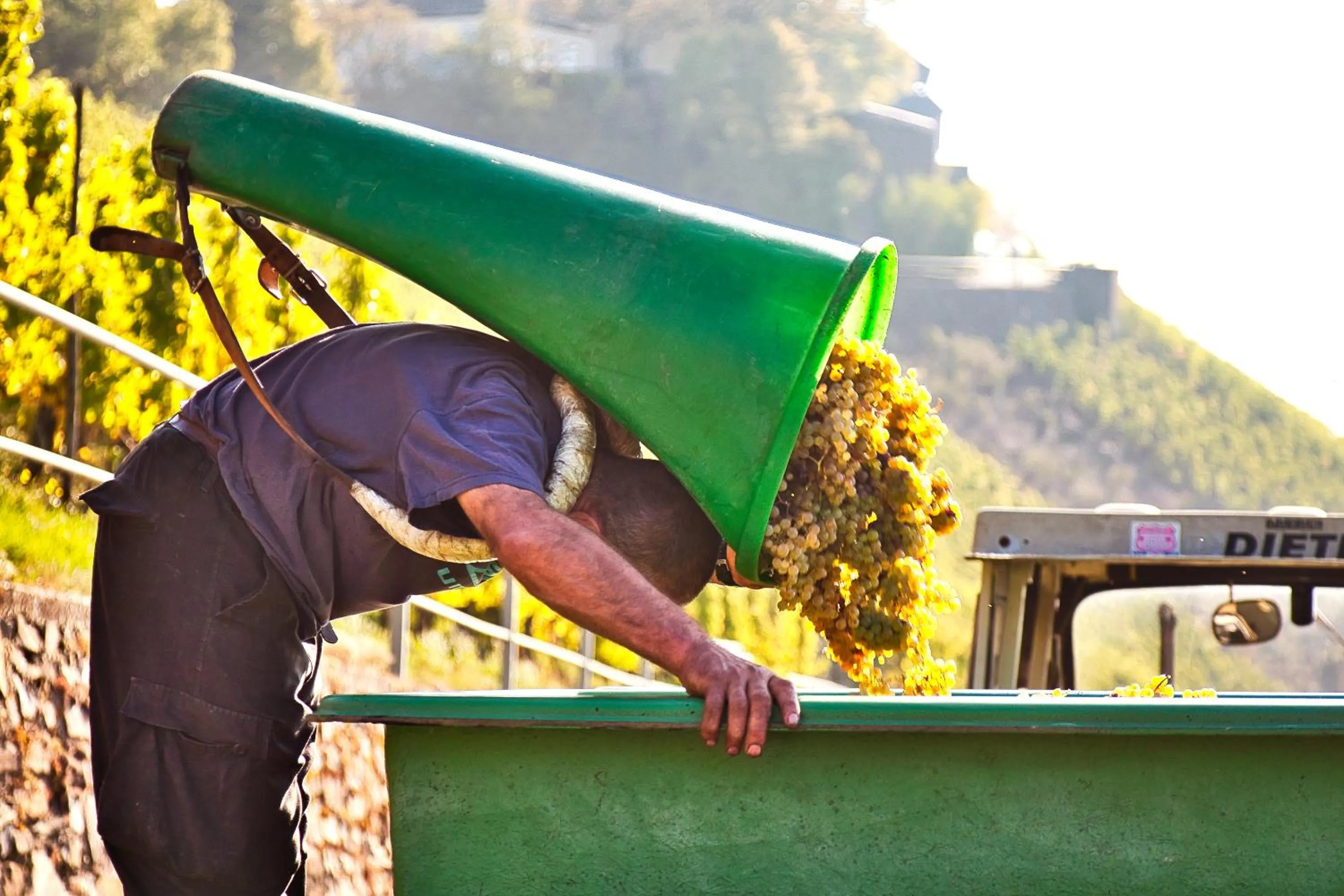 Natural landscape in Mayer's Weinhotel