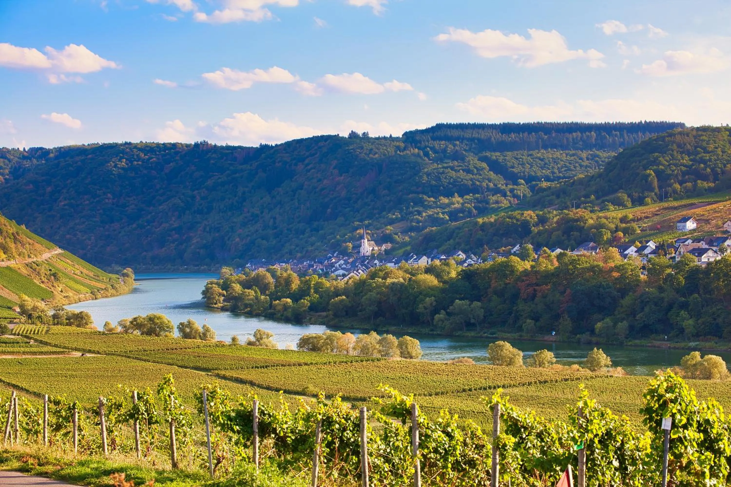 Natural landscape in Mayer's Weinhotel
