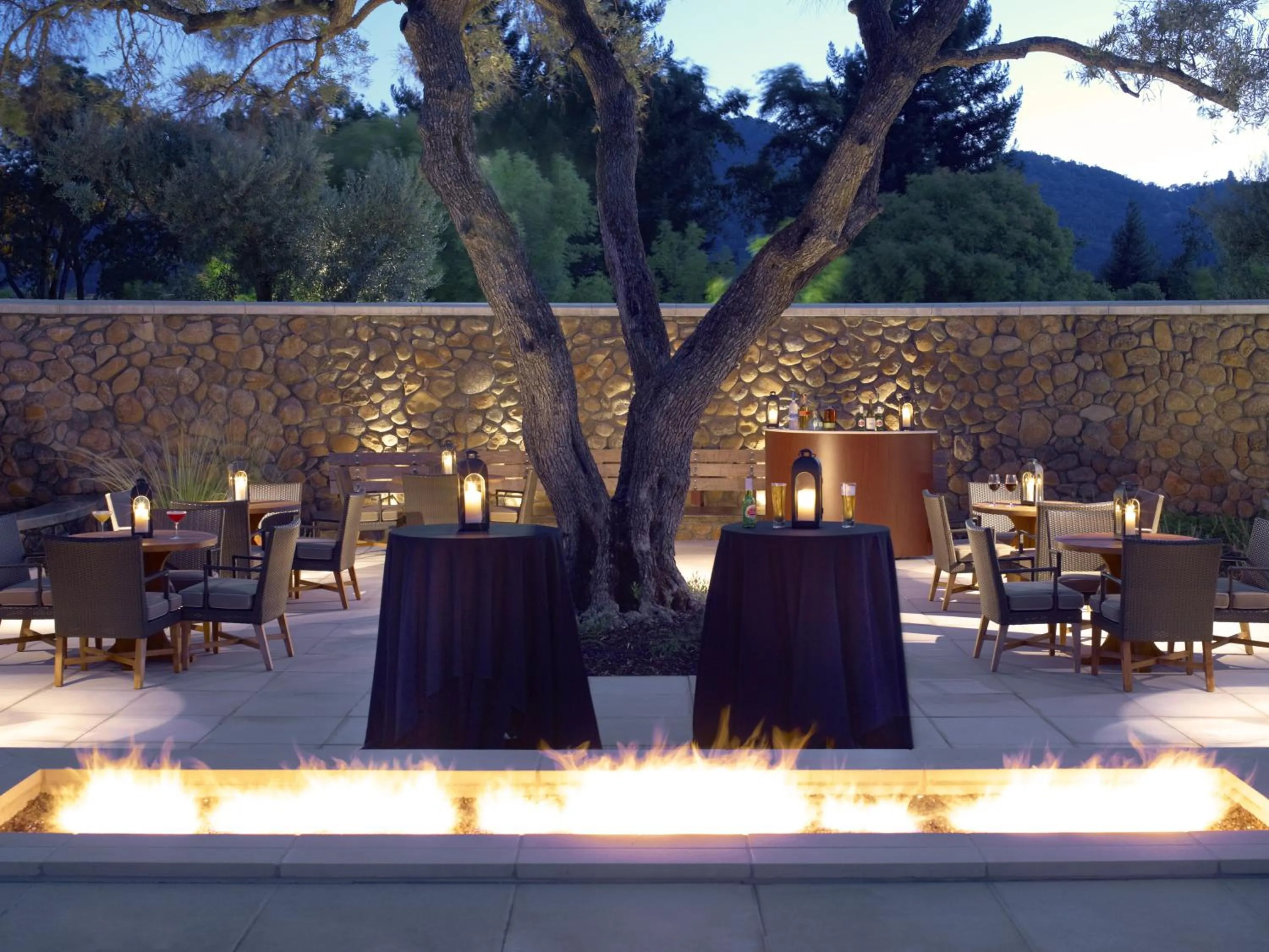 Natural landscape in Hotel Yountville