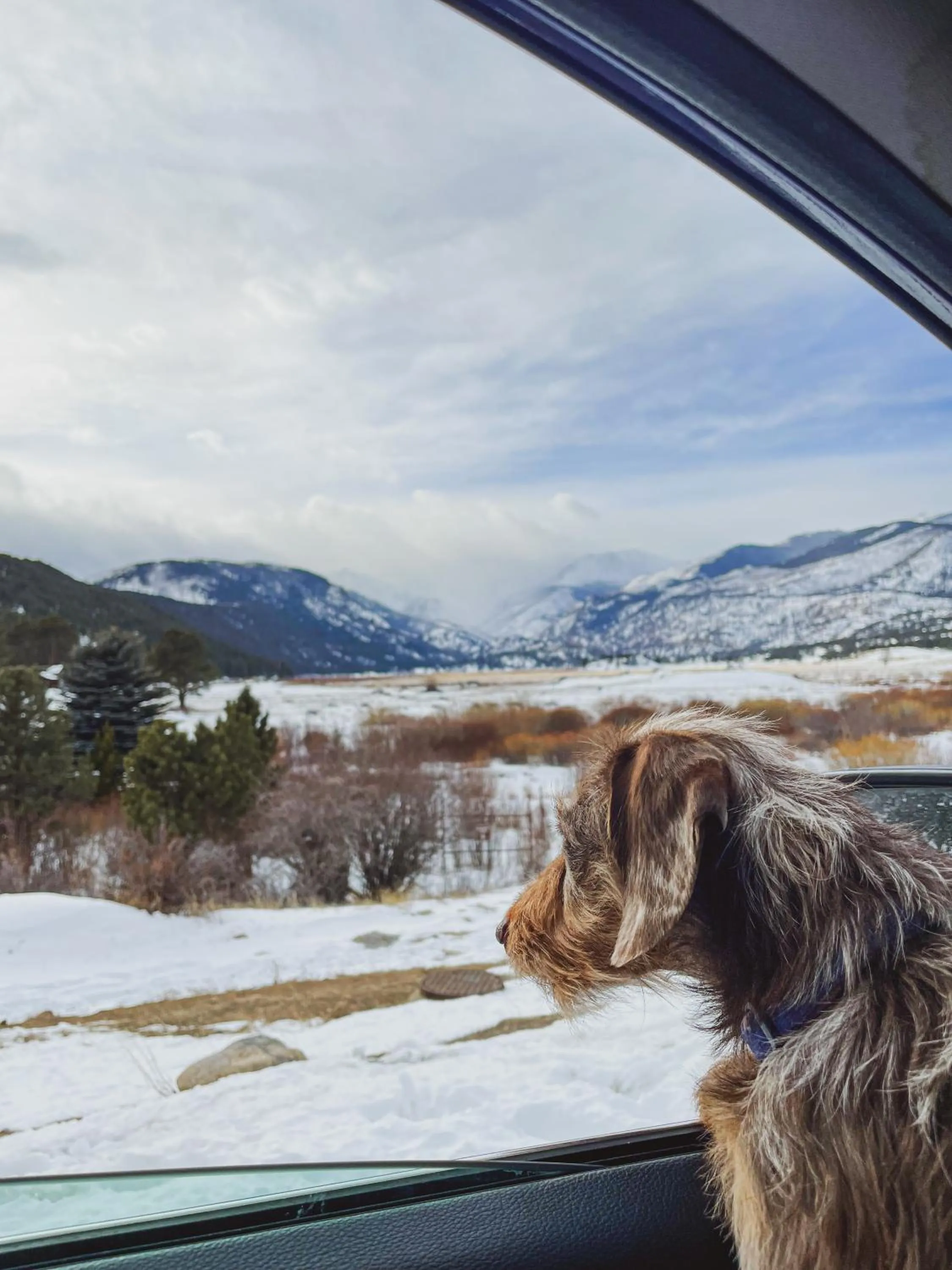 Nearby landmark in Holiday Inn Estes Park by IHG