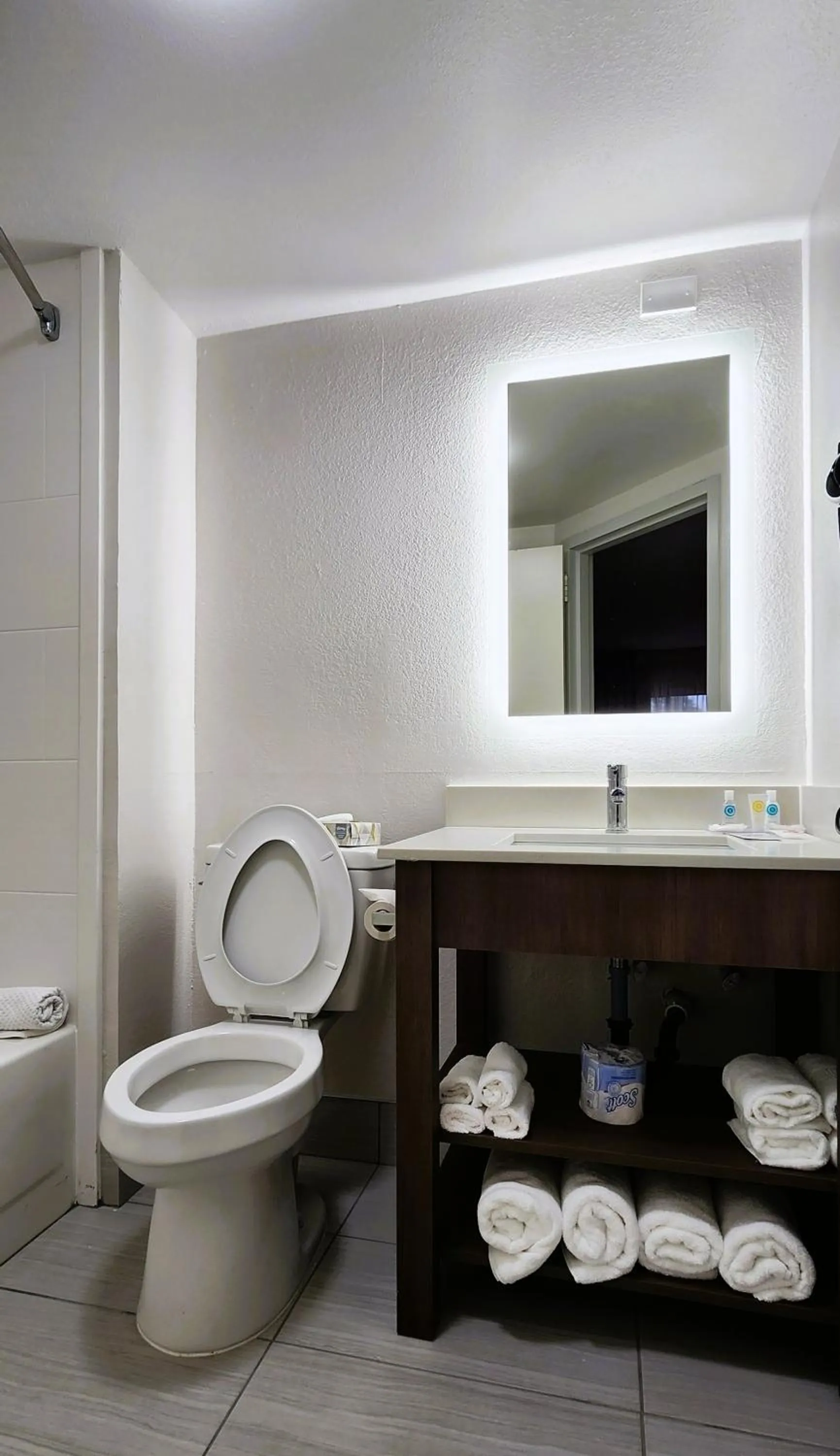 Bathroom in Comfort Inn Pensacola - University Area