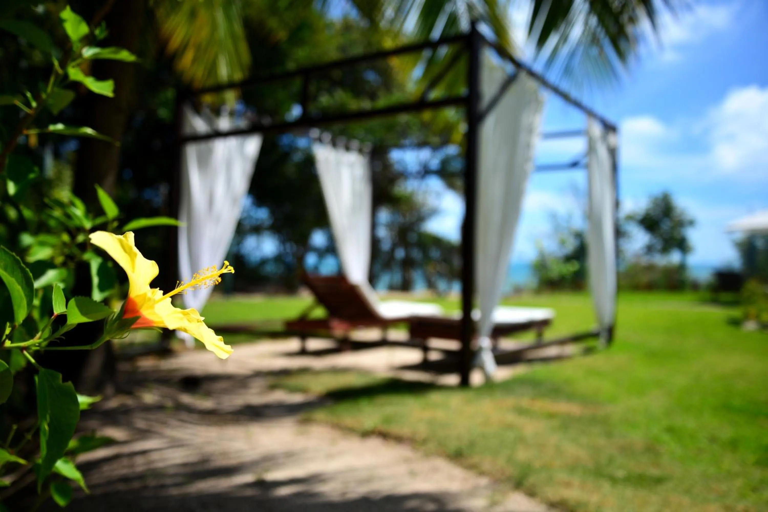 Garden in Pousada Enseada Dos Golfinhos