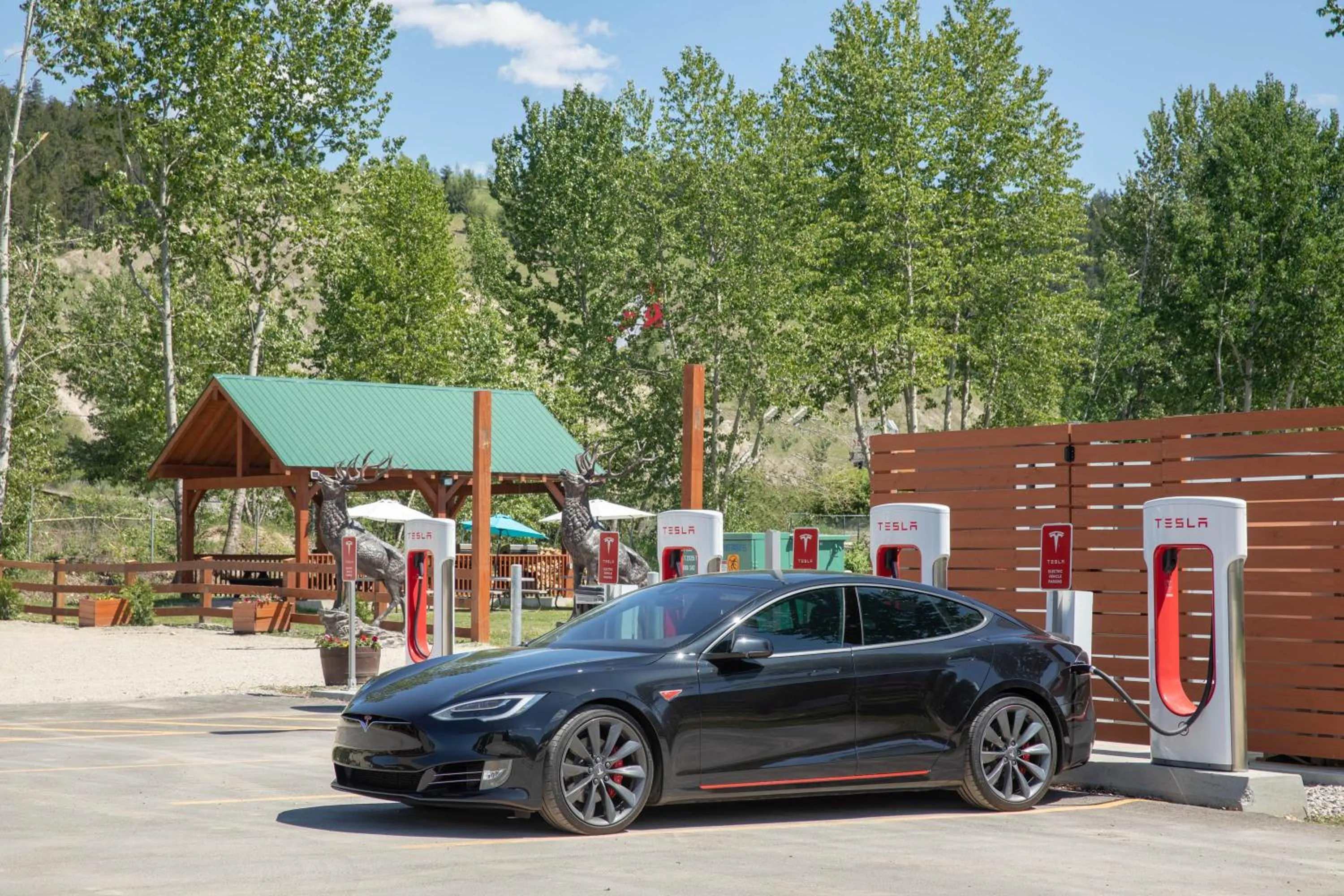 Decorative detail in Travelodge by Wyndham Golden Sportsman Lodge