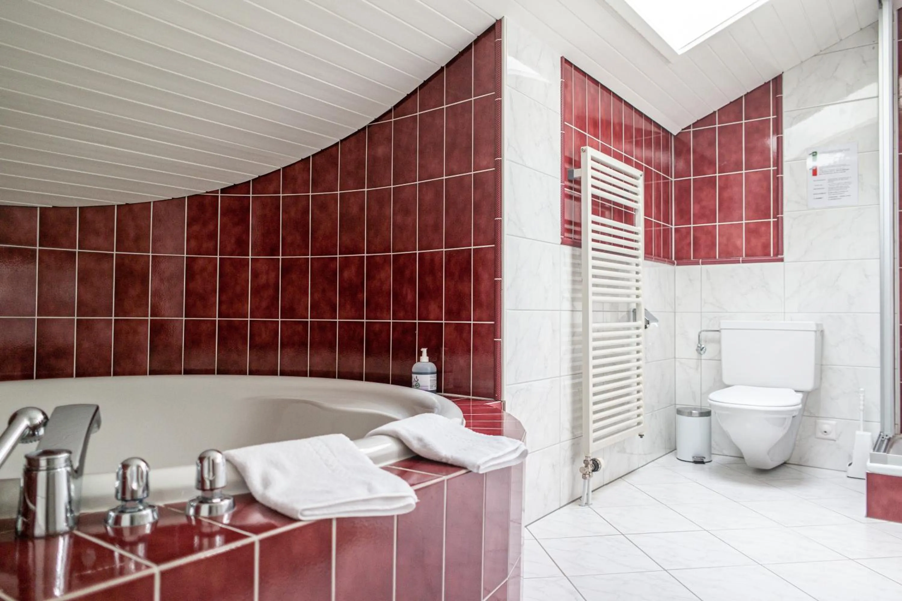 Shower in Hotel Gletscherblick Grindelwald