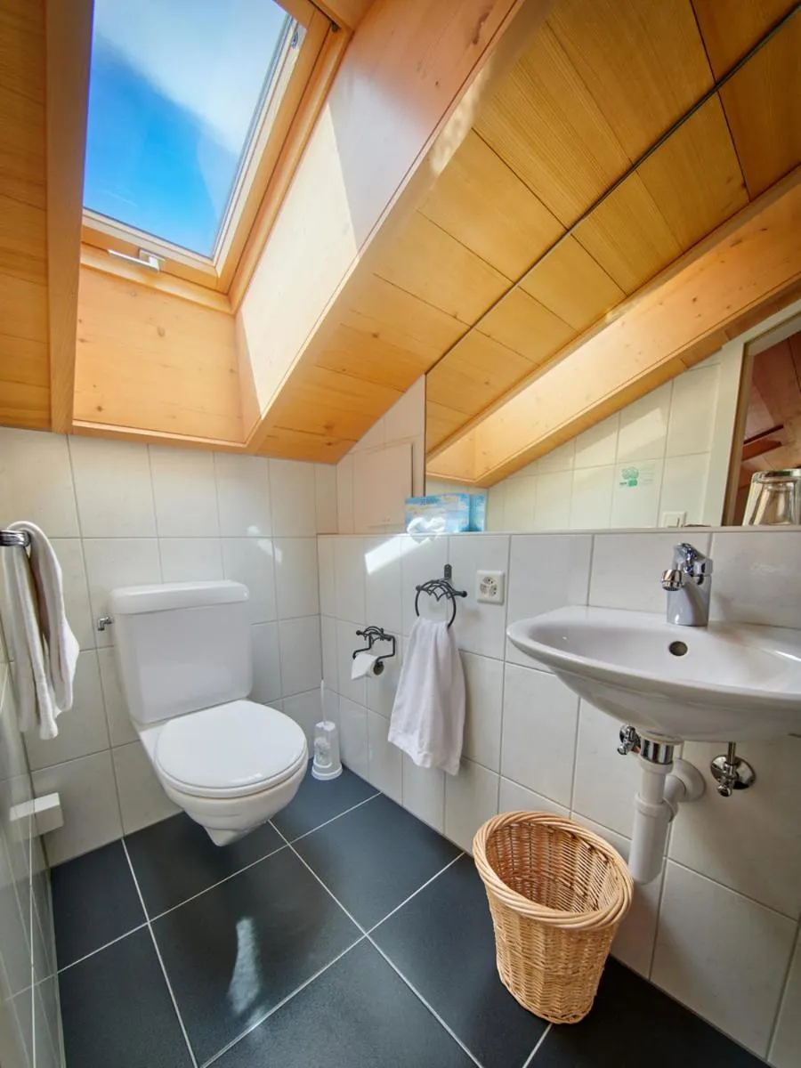 Toilet in Hotel Gletscherblick Grindelwald