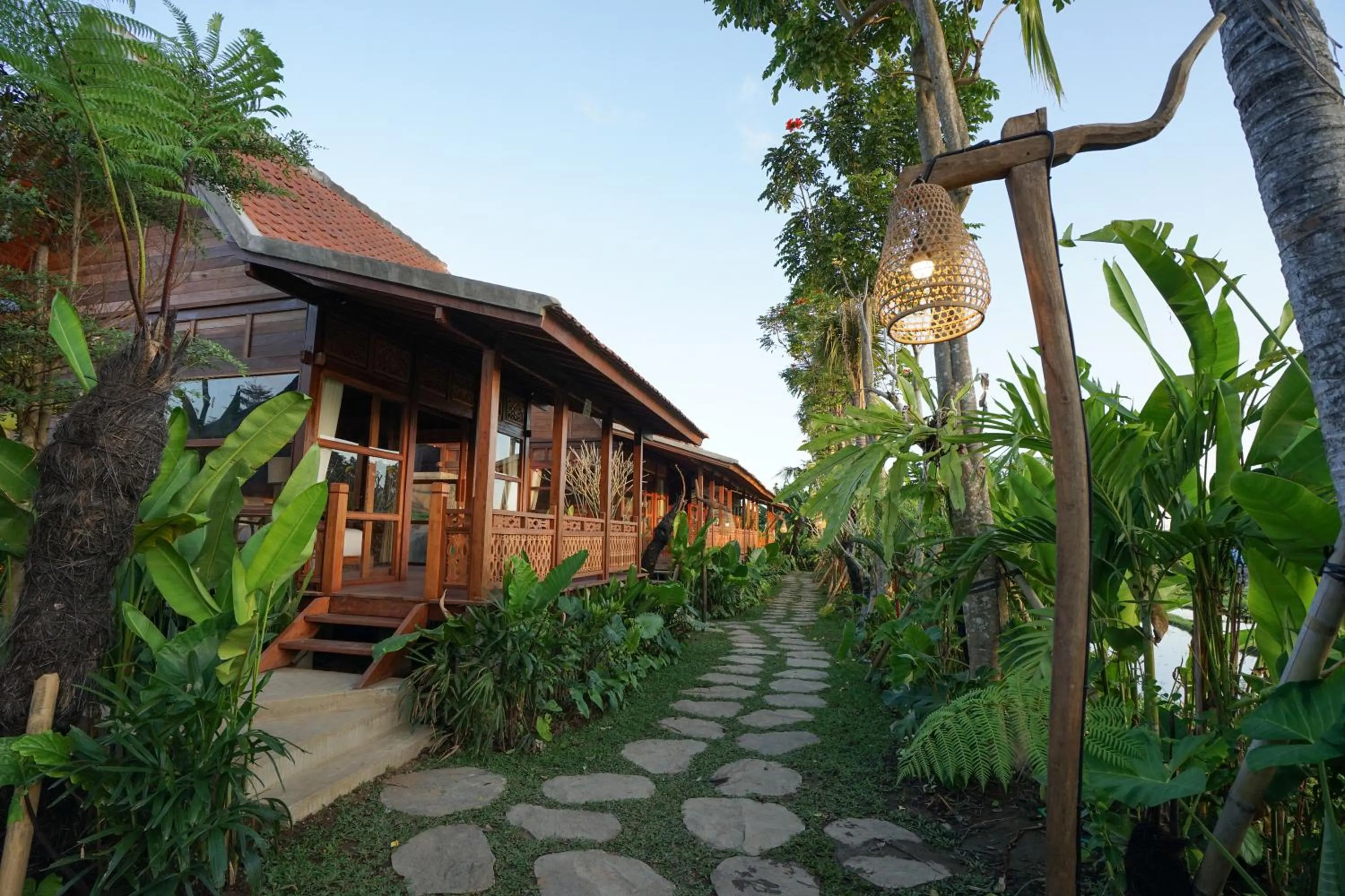 Natural landscape in Ubud Art Resort