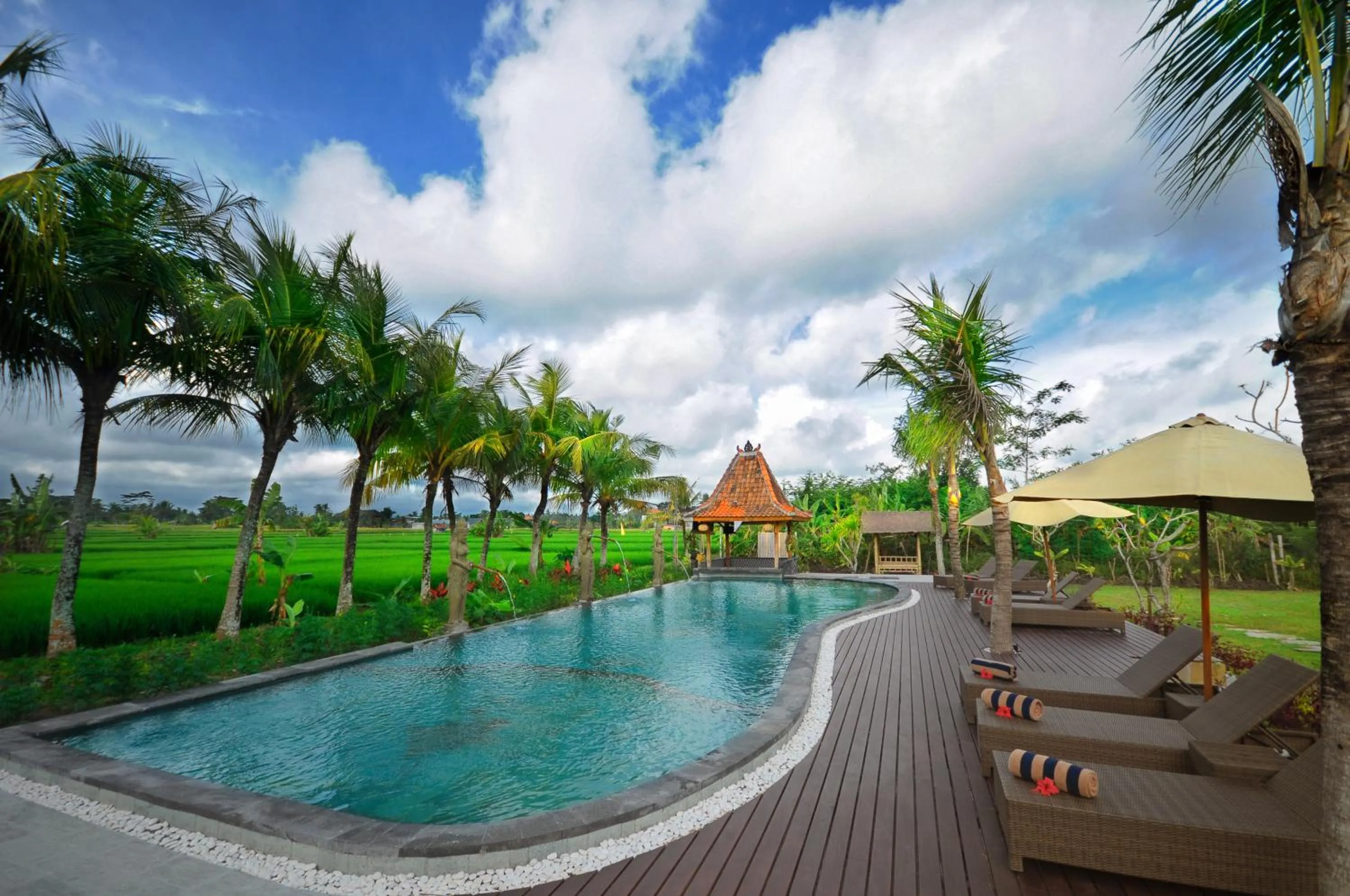 Natural landscape in Ubud Art Resort
