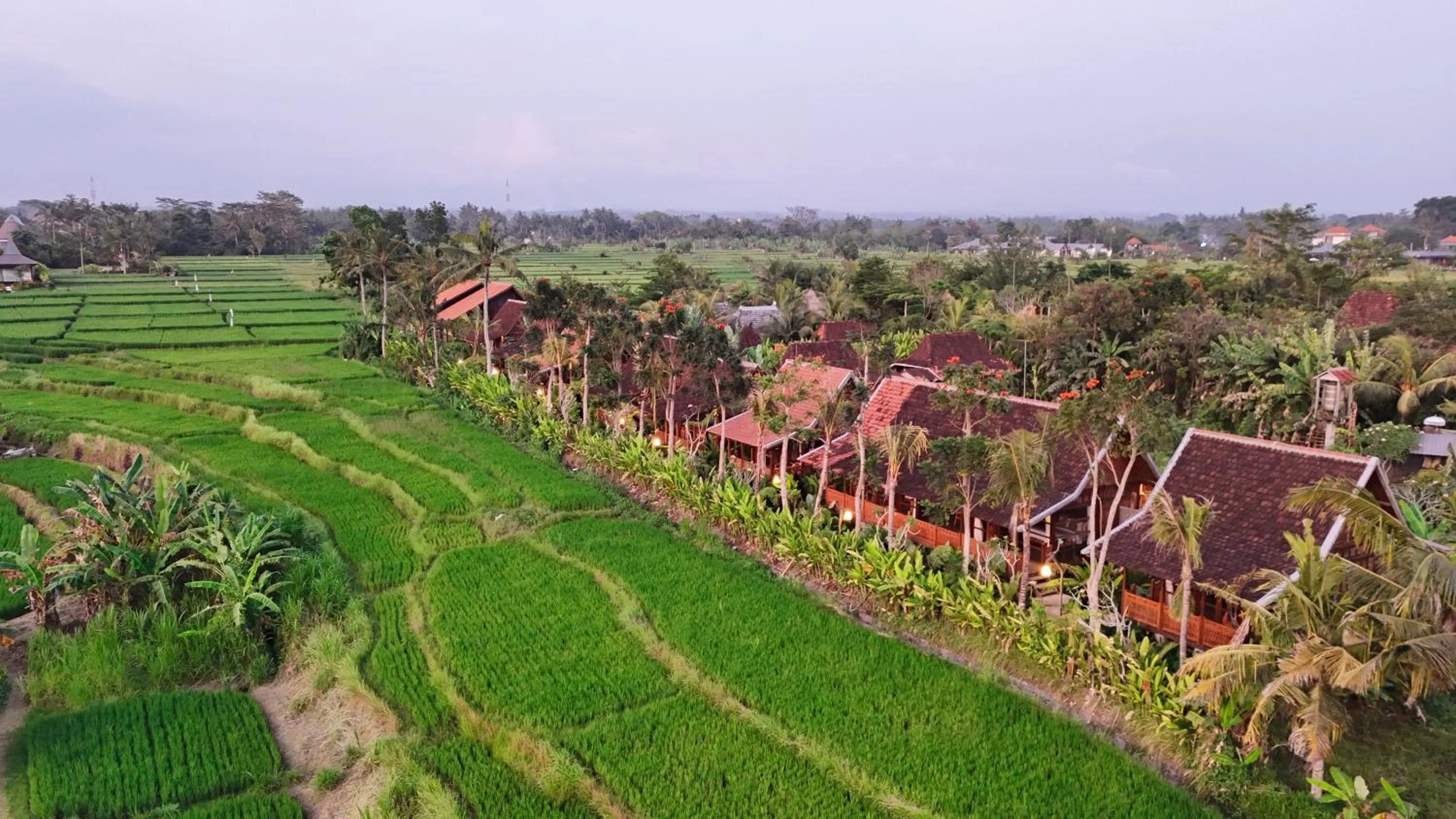 Natural landscape in Ubud Art Resort