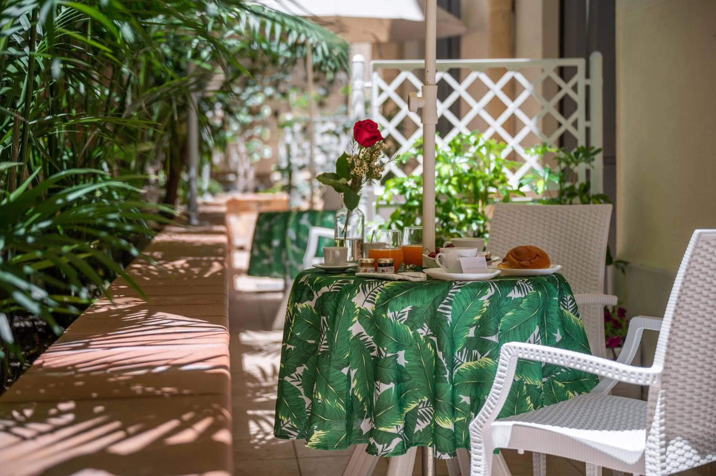 Garden in Donnalaura