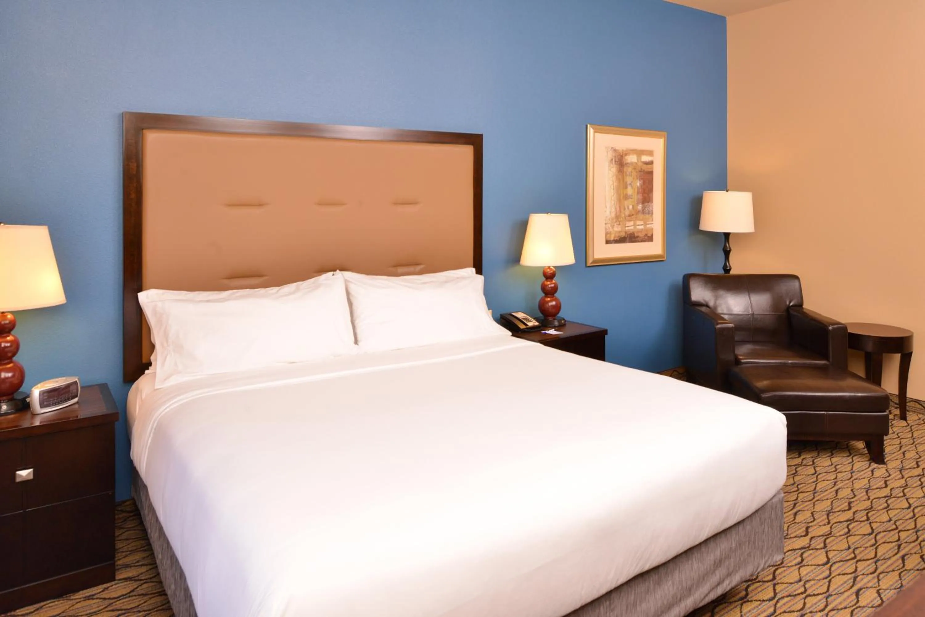 Photo of the whole room, Bed in Holiday Inn Express & Suites Wichita Falls by IHG