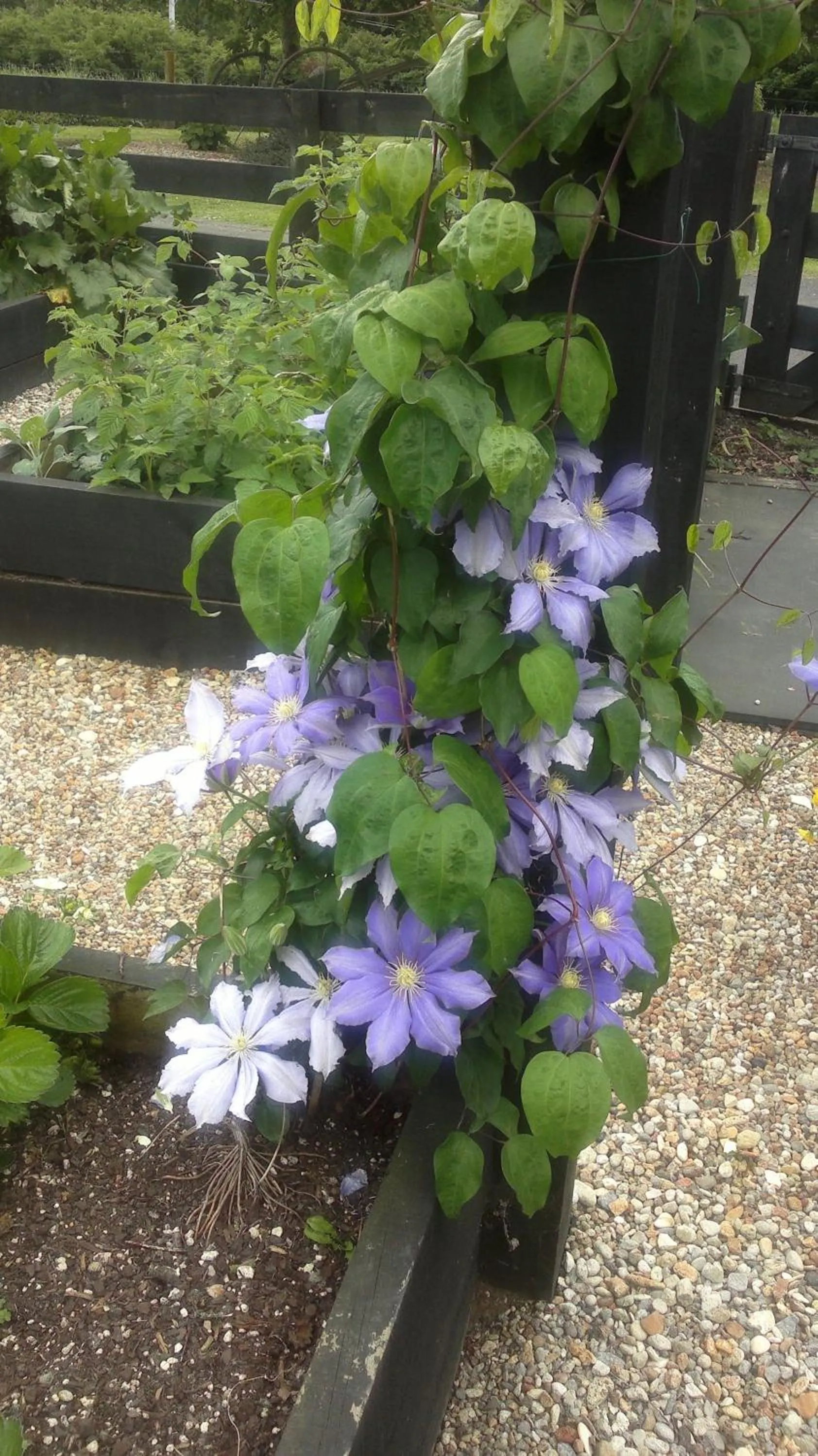 Day in Cambridge Coach House