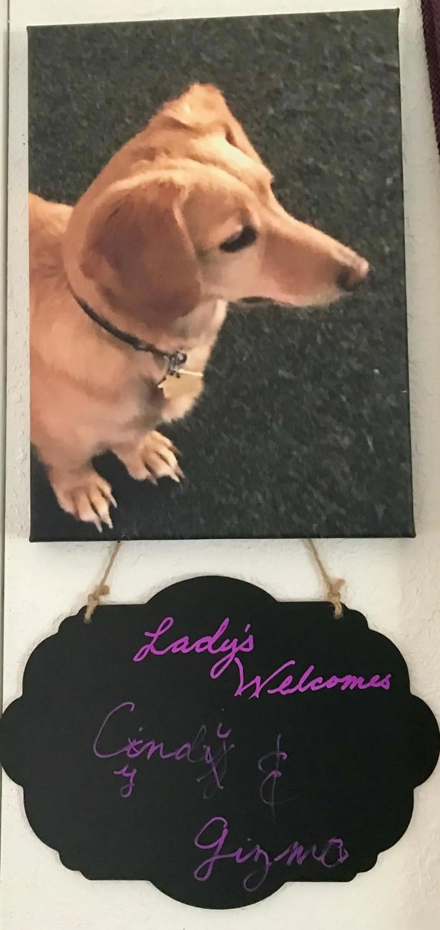 Standard Twin Room with Shared Bathroom - single occupancy in Leah's Homestay in Hoquiam