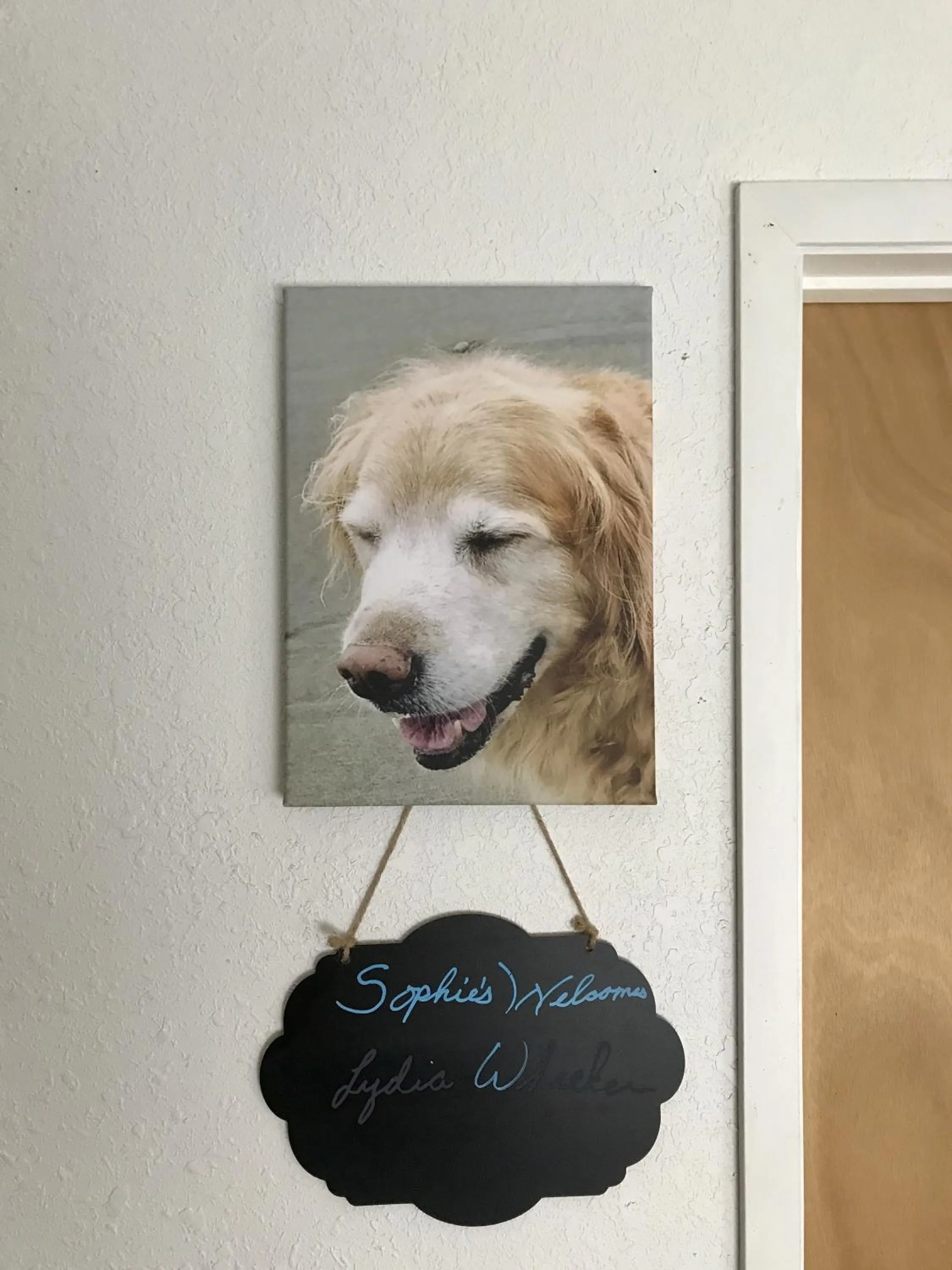 Double Room with Shared Bathroom in Leah's Homestay in Hoquiam