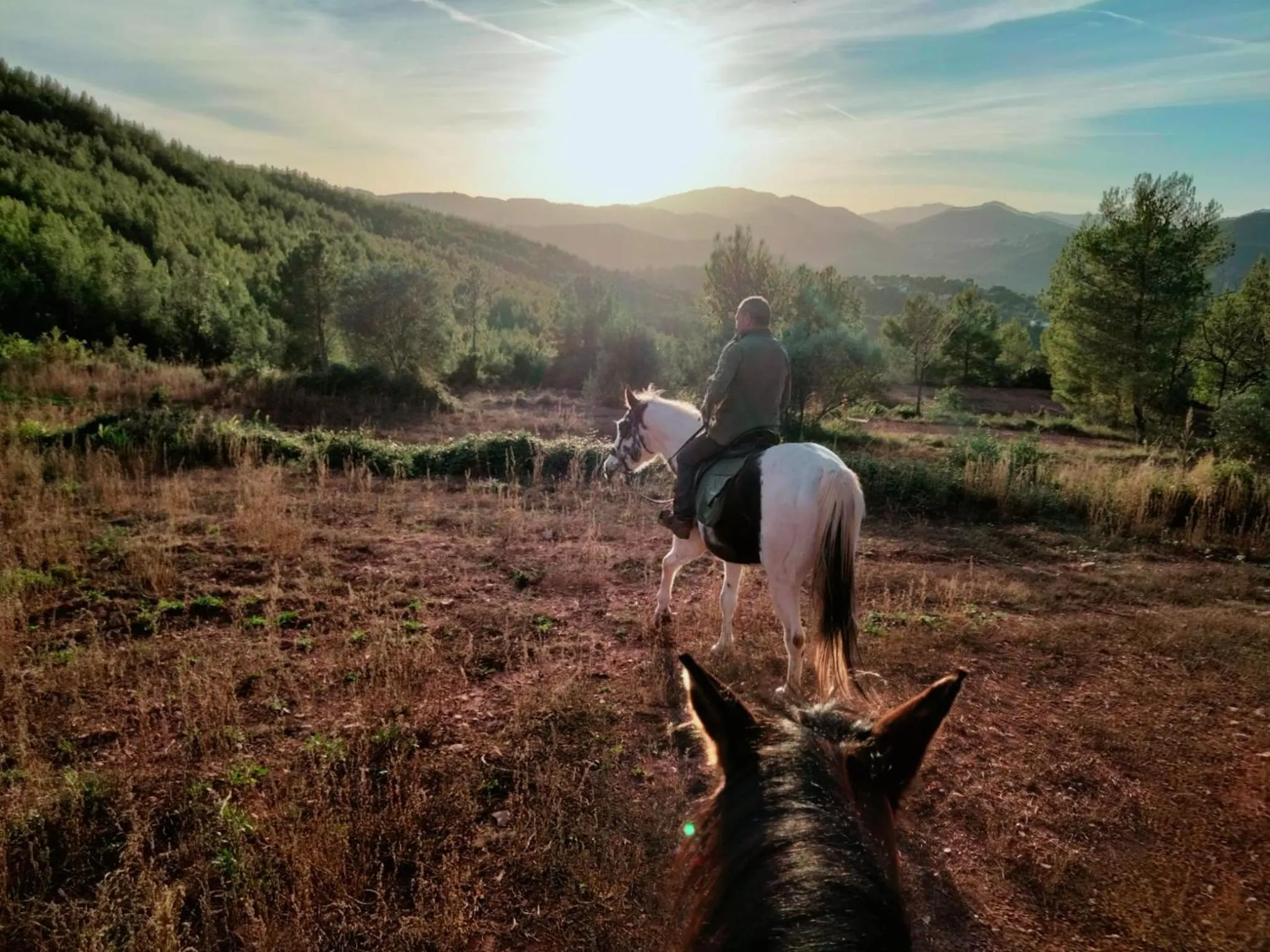 Horse-riding in Hotel Moli De La Torre