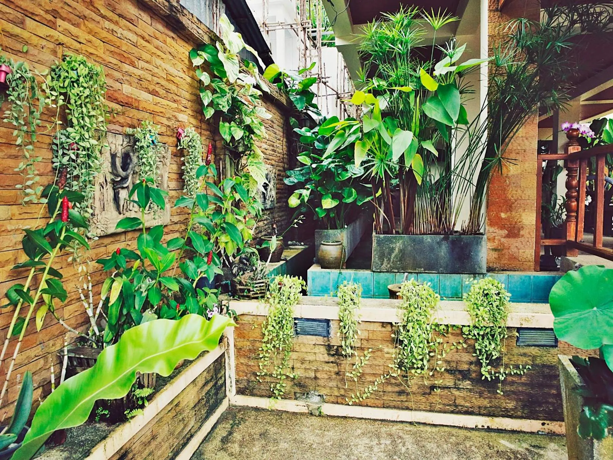 Property building in Baan SS Karon