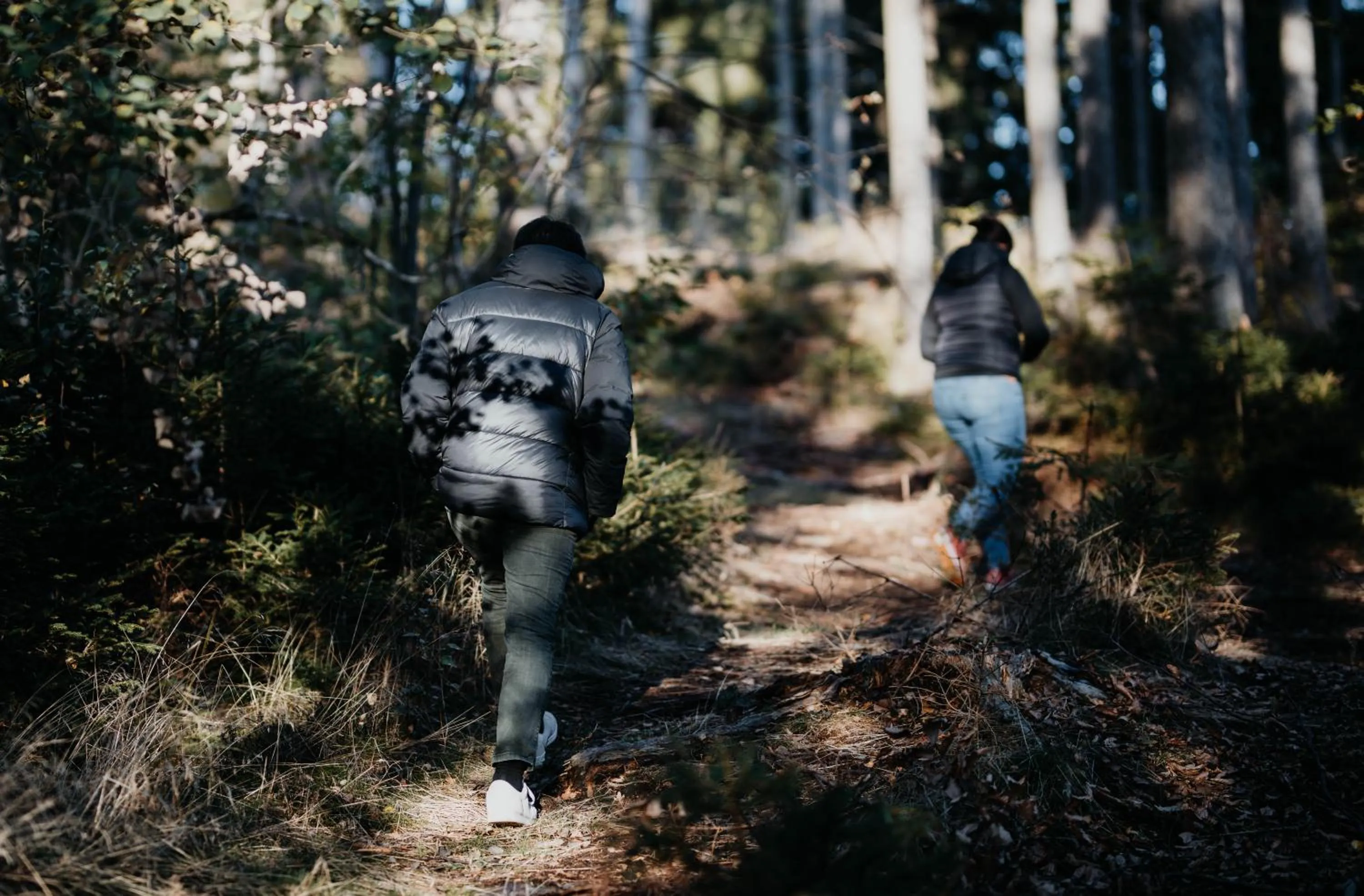 Natural landscape in Sonnenhotel Hoher Hahn