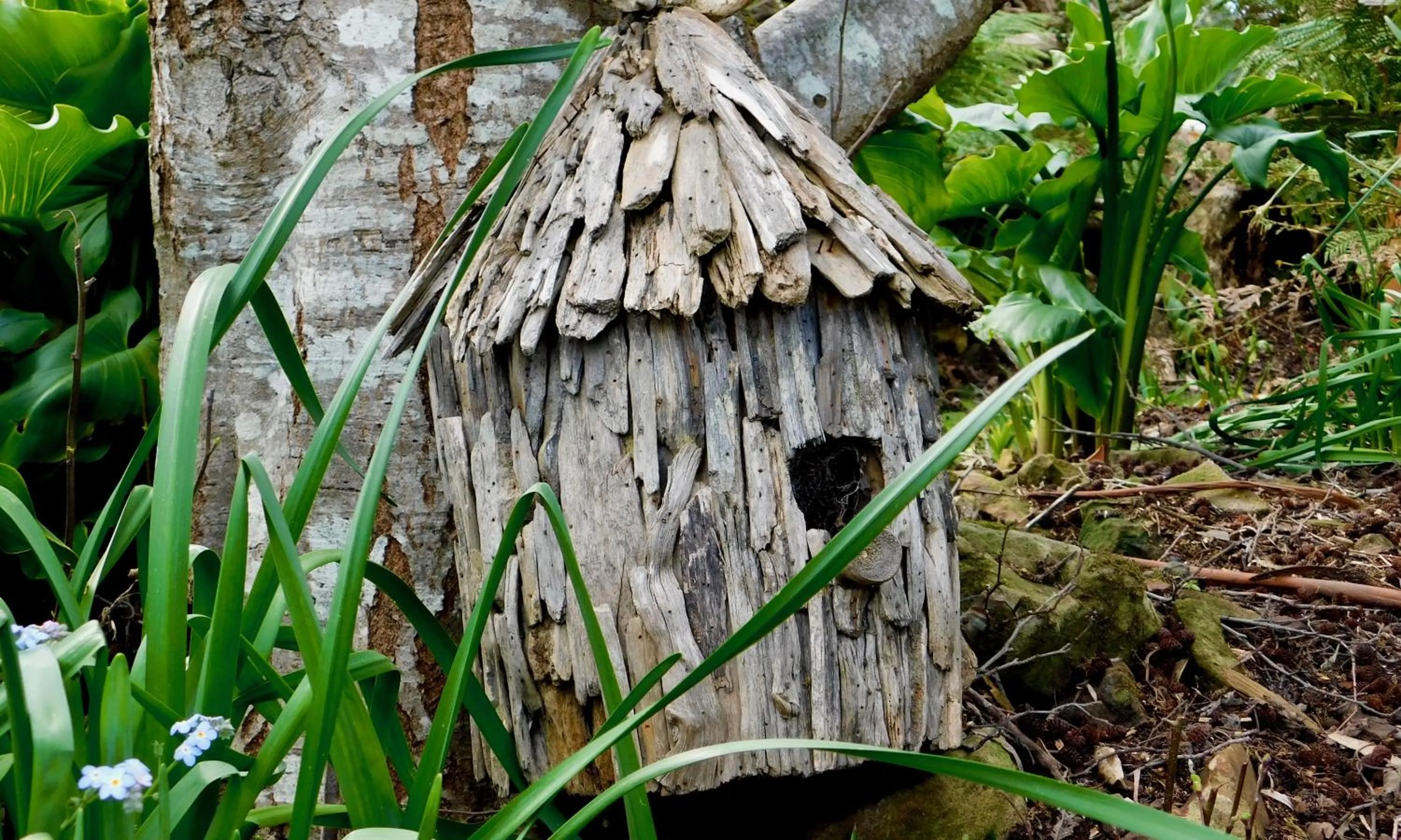 Garden in 43 Degrees Bruny Island