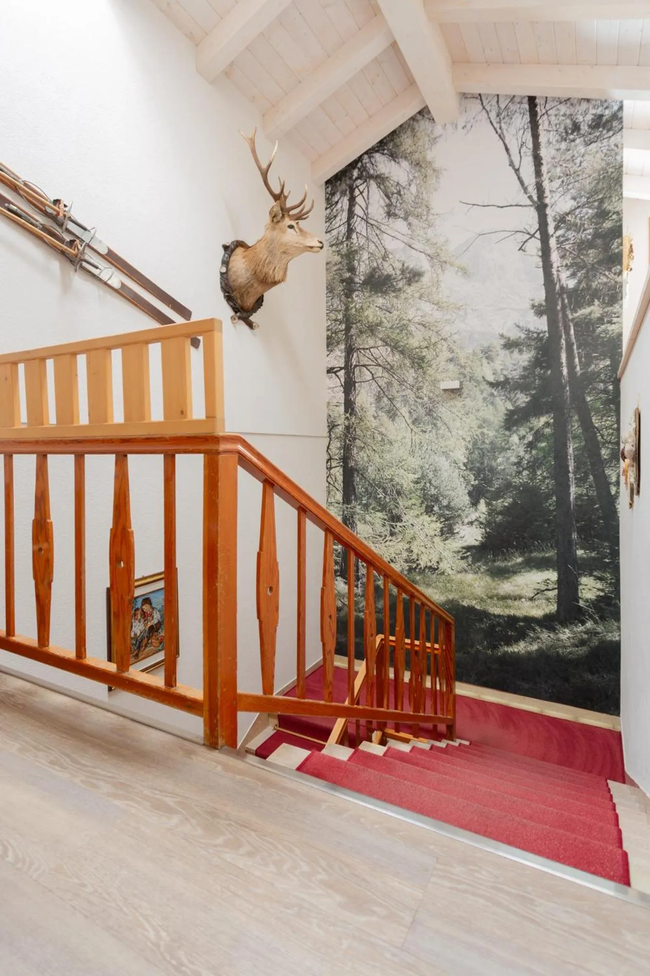 hair dresser in Olimpia Hotel