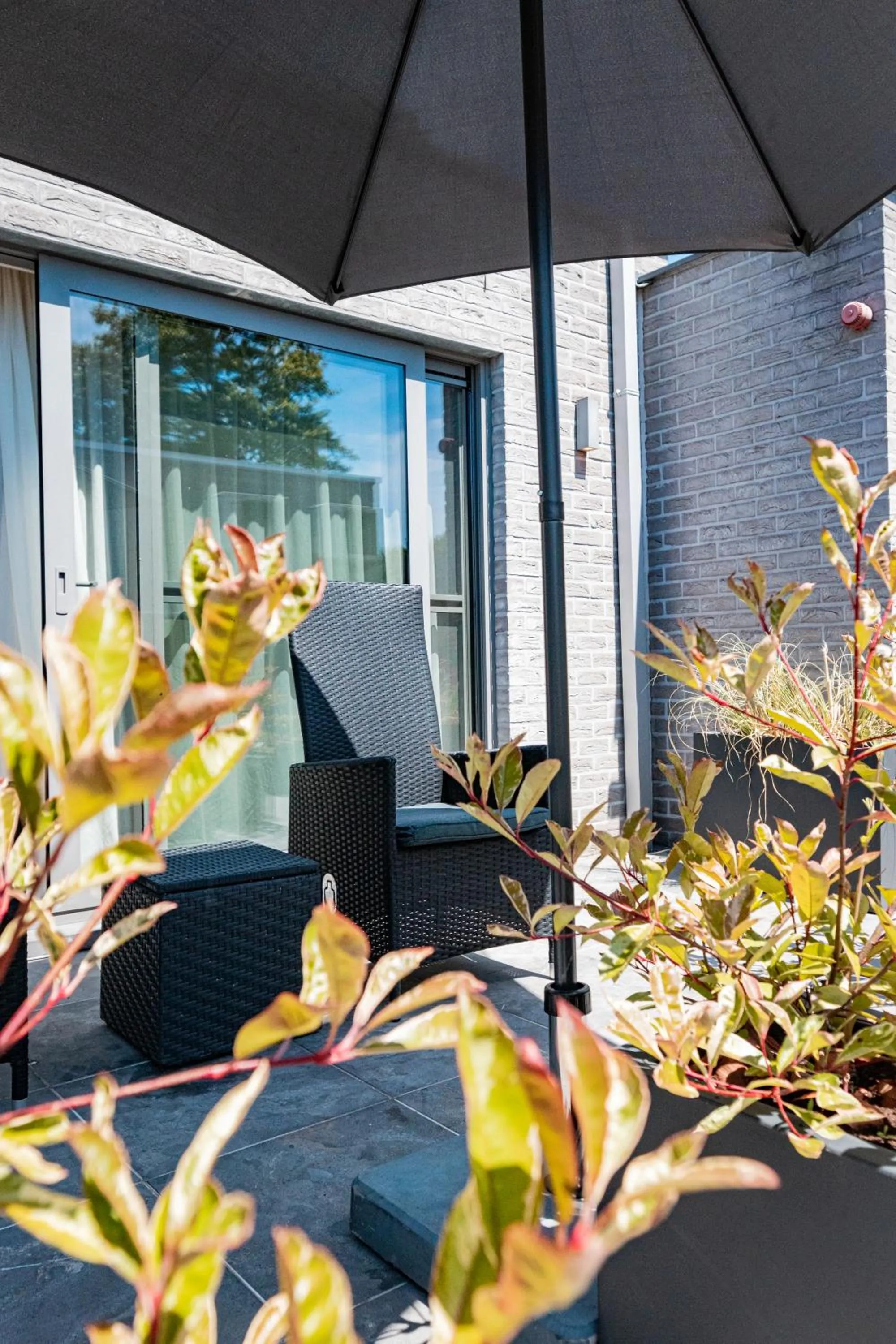 Balcony/Terrace in Abalona Hotel & Apartments