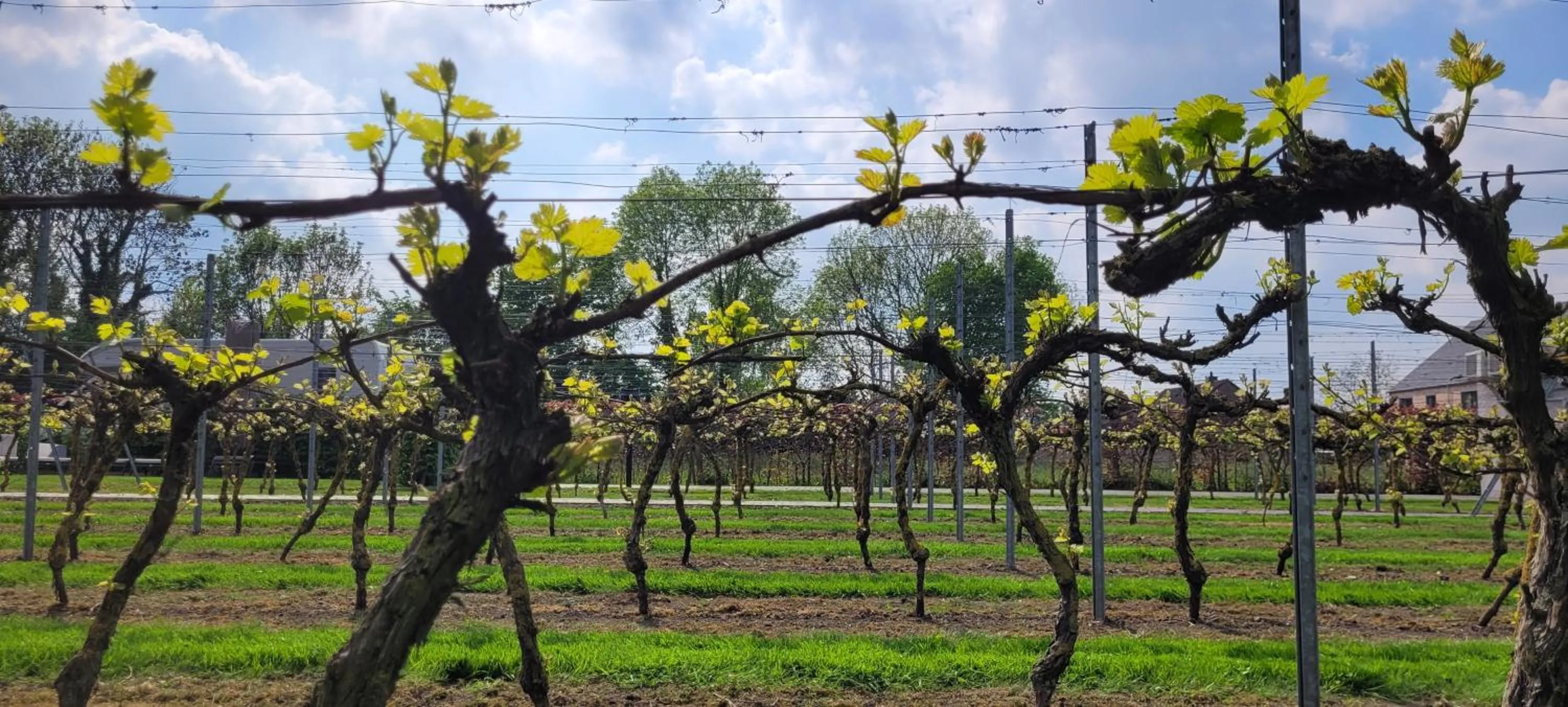 Time of day in Abalona Hotel & Apartments