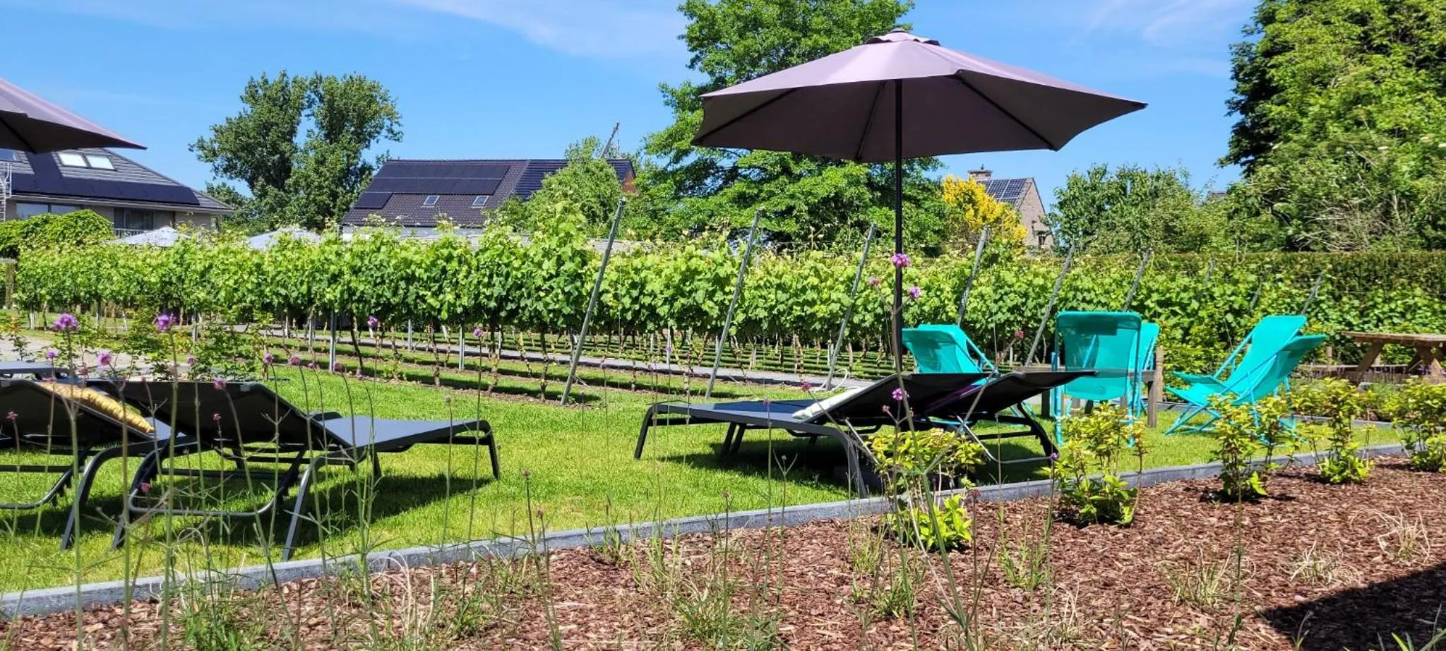 Garden in Abalona Hotel & Apartments